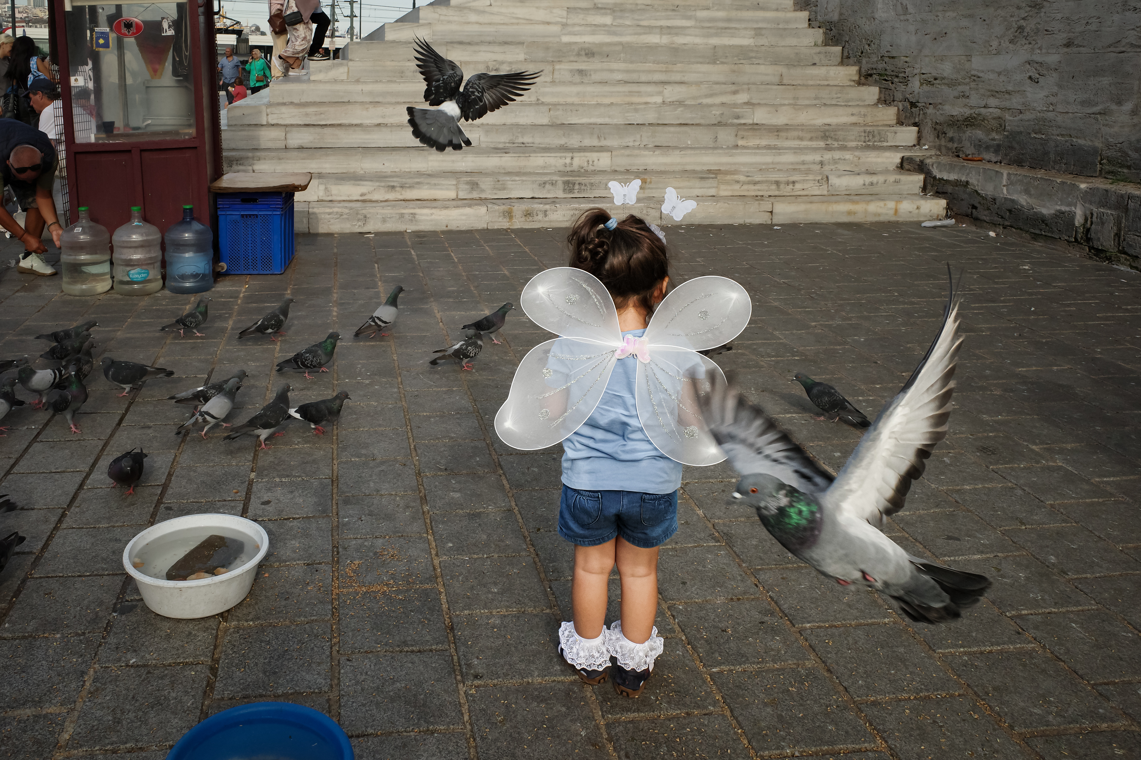 JUXTANBUL CANDID - Taken in Eminonu/Istanbul - new mosque - butterfly - pigeons- juxtaposition