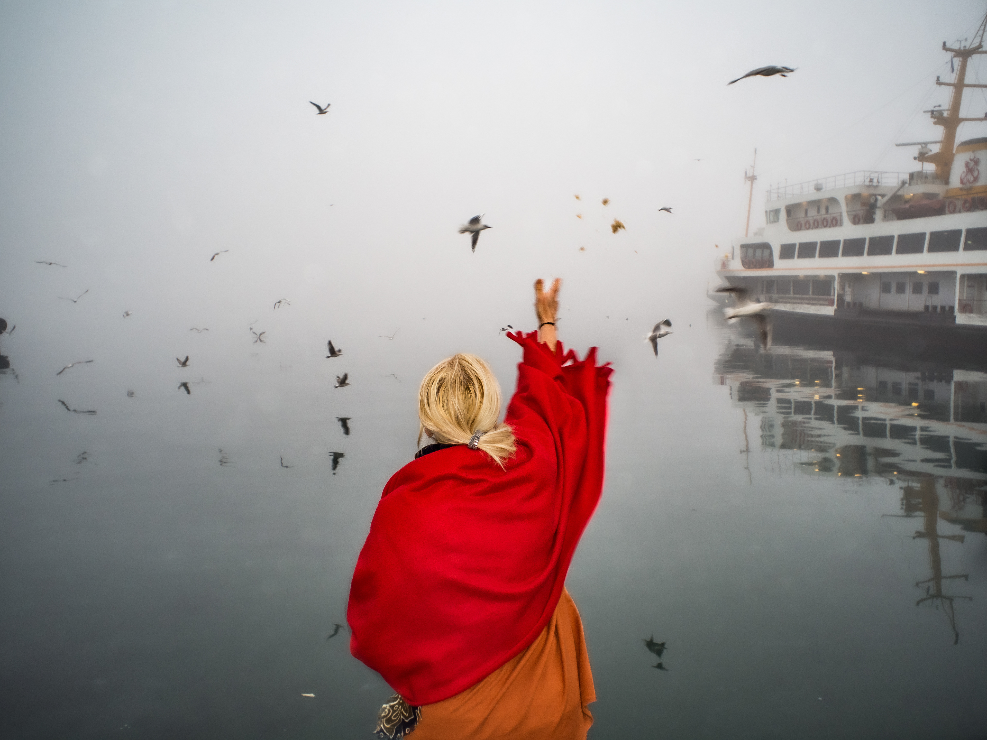 JUXTANBUL CANDID - Taken in Kadikoy/Istanbul- fog - seagull - red - ferry - juxtaposition