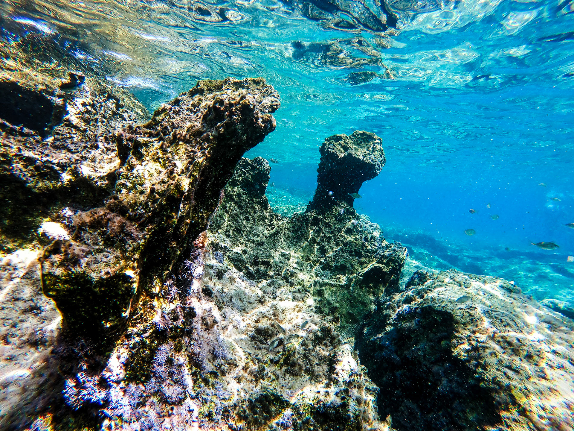 DCIM\100GOPRO\GOPR3283.JPG