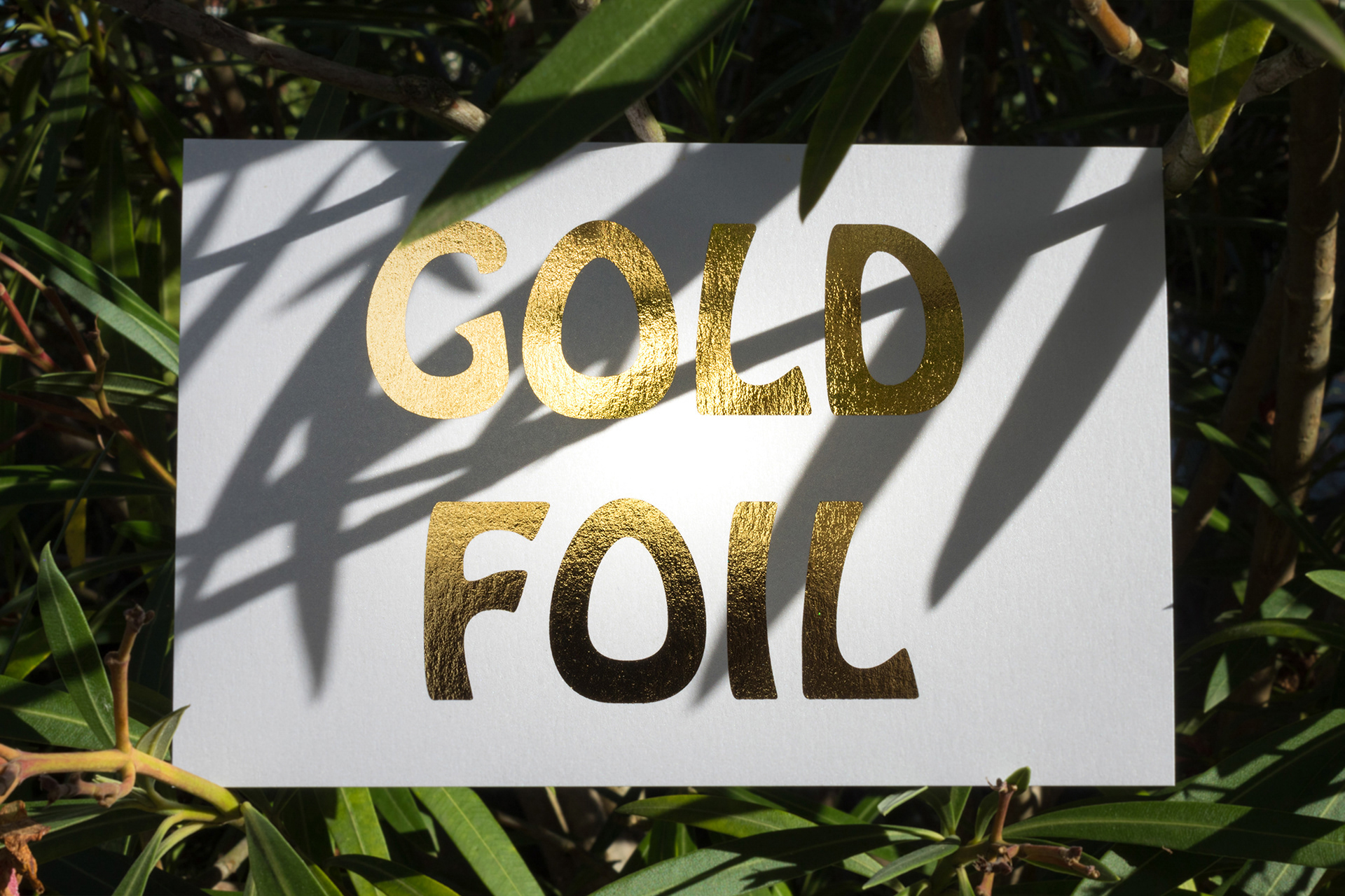 Gold foil printed on nacreous paper taken in photo outdoors with sunlight on the model.