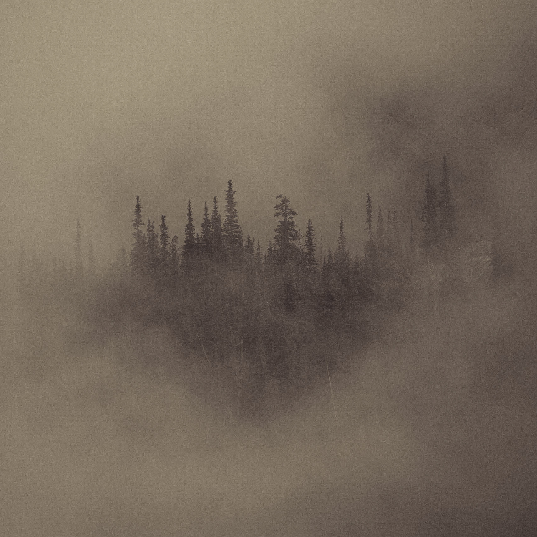 Photo taken at Deer Park, Olympic Mountains, Washington State, USA.