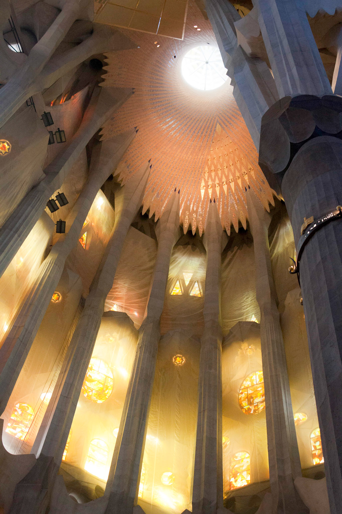 The ceiling of the Sagrada Familia in Barcelona, Spain.  The twelve symbols represent the Apostles.