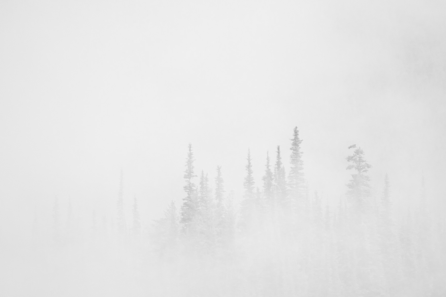 Photo taken at Deer Park, Olympic Mountains, Washington State, USA.