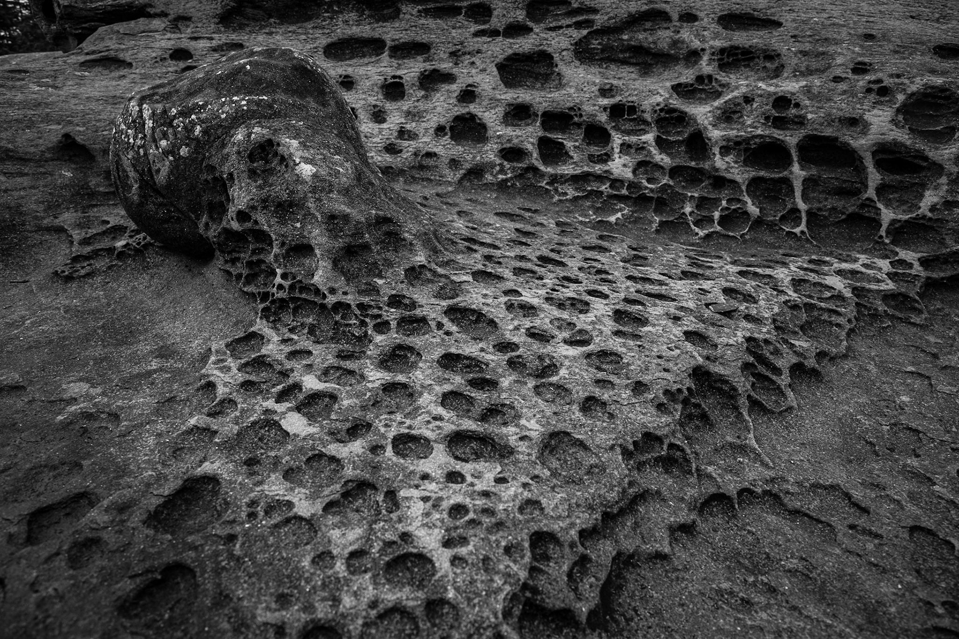 Tufa formation on Gabiola Island in British Columbia