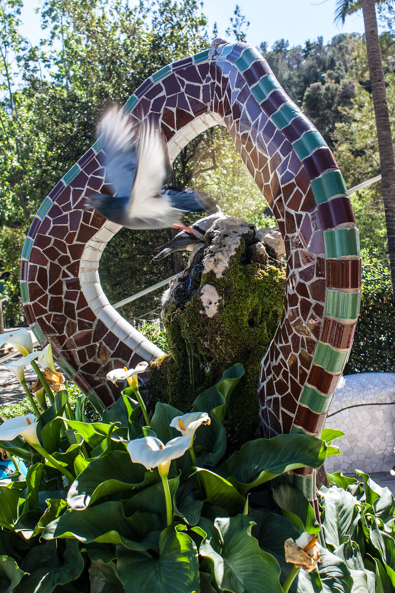 A pigeon flies from the center of a ceramic work in Park Güell. Park Güell is one of many places in Barcelona designed by Antoni Gaudi.