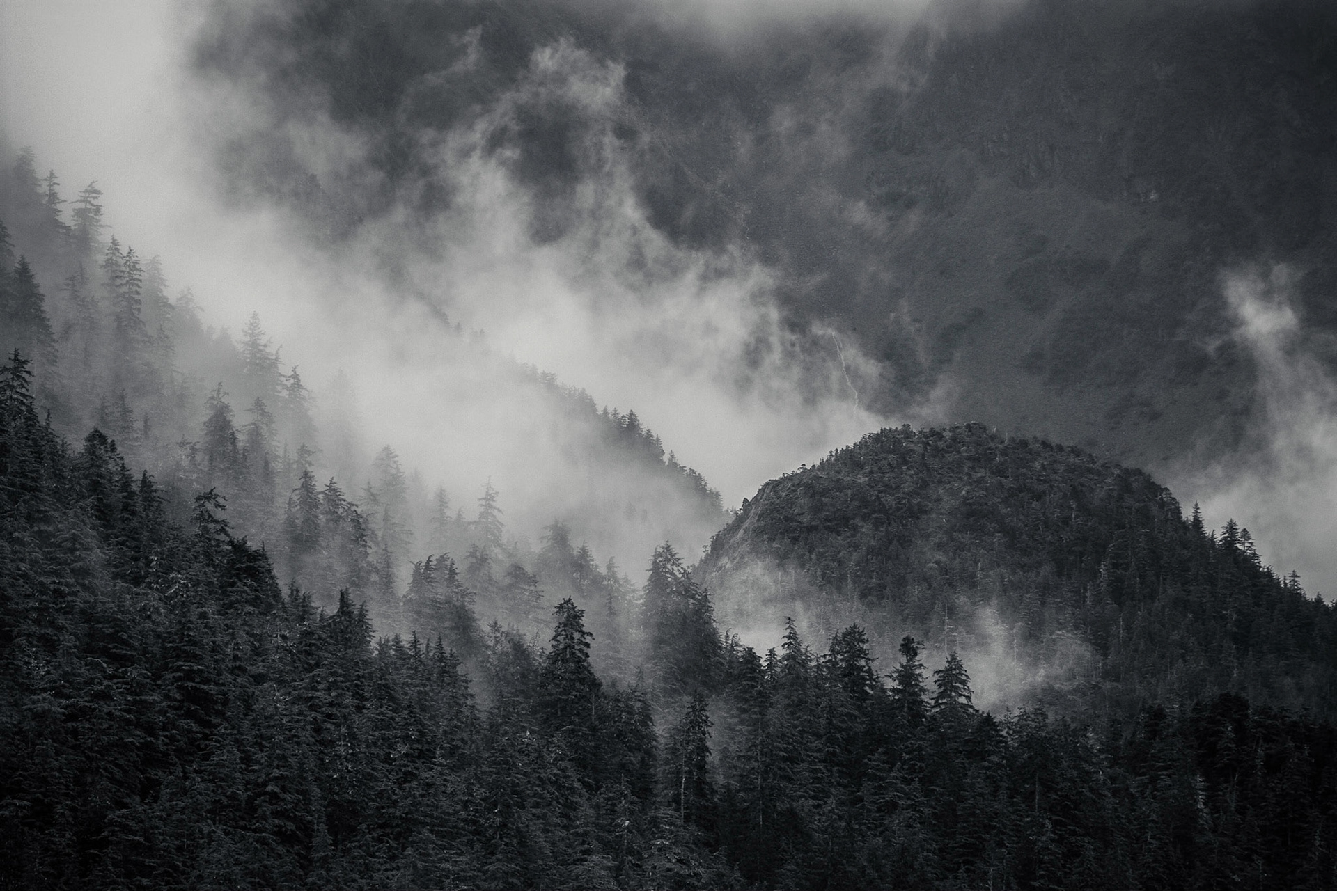 Photo was taken on Chatham Strait in Southeast Alaska, USA.