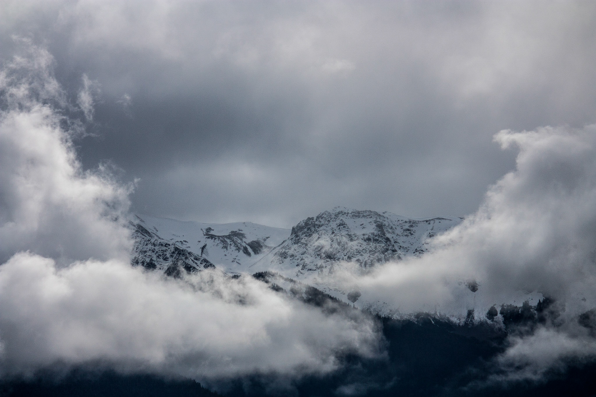 Photo was taken at Hurricane Ridge, Olympic Mountains, Washington State, USA.