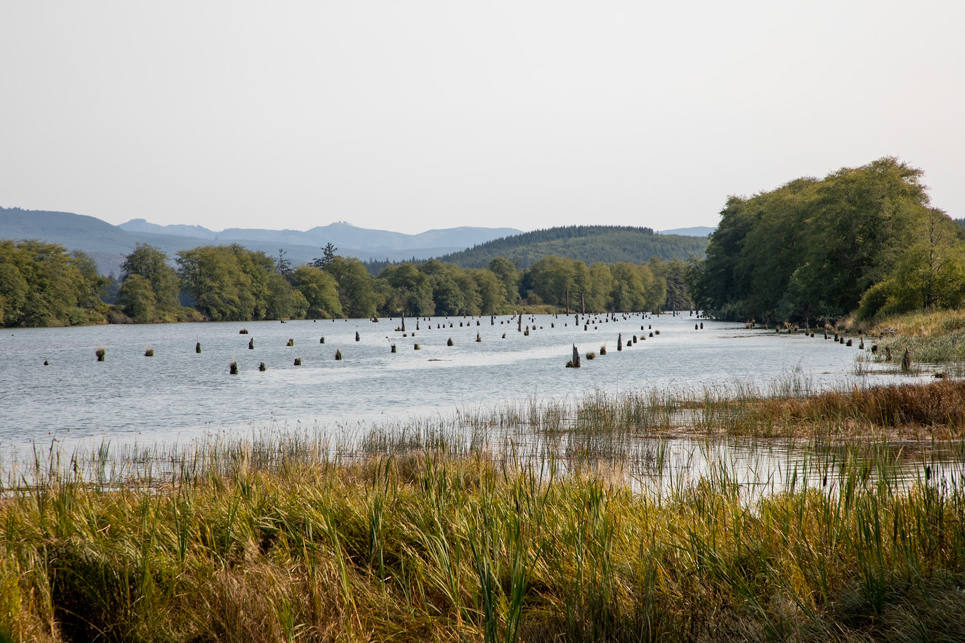 Photo was taken at the Lewis and Clark National Historic Park in Astoria, Oregon.