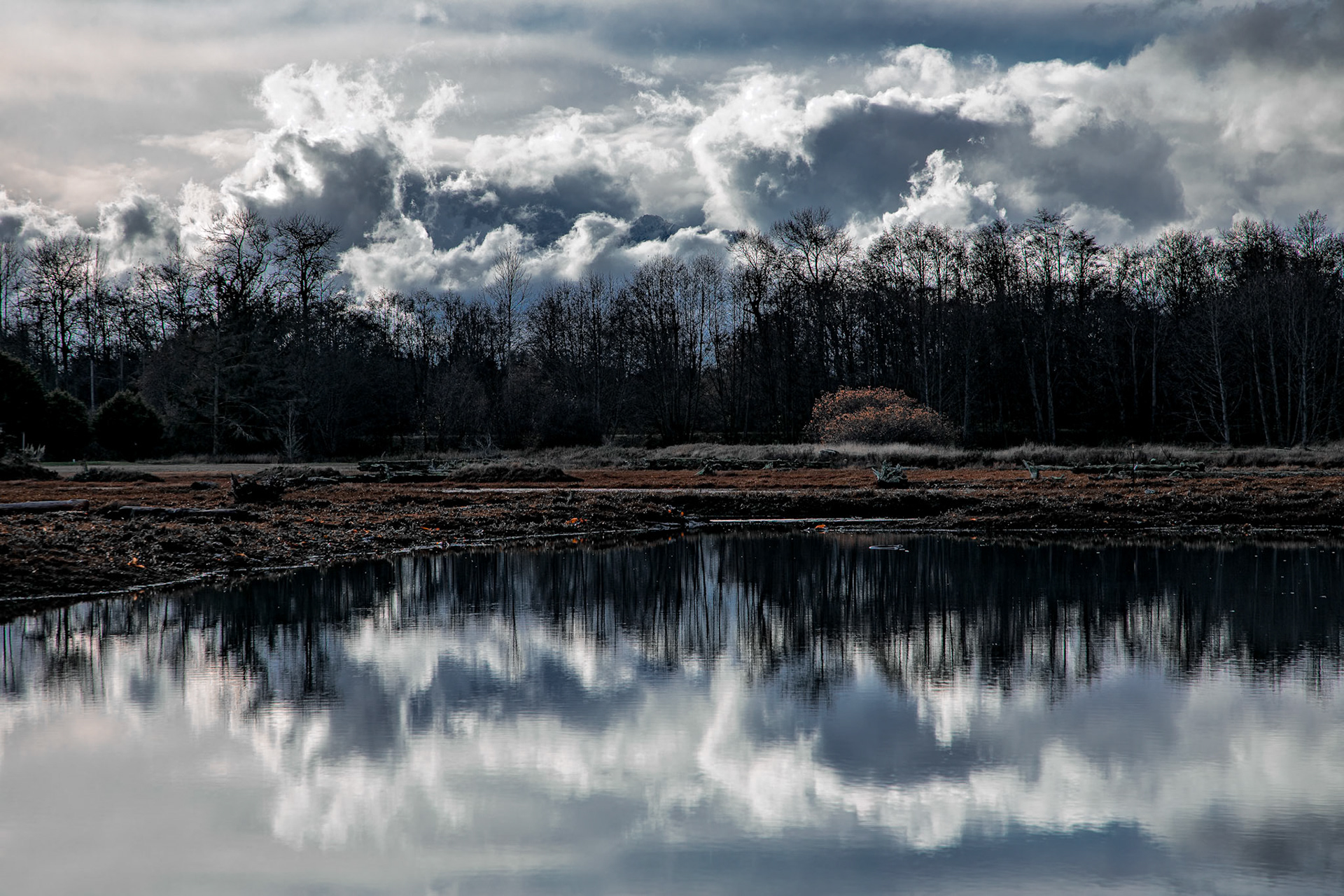 Clouds reflect off a small pond on the Olympic Peninsula in Washington State, USA