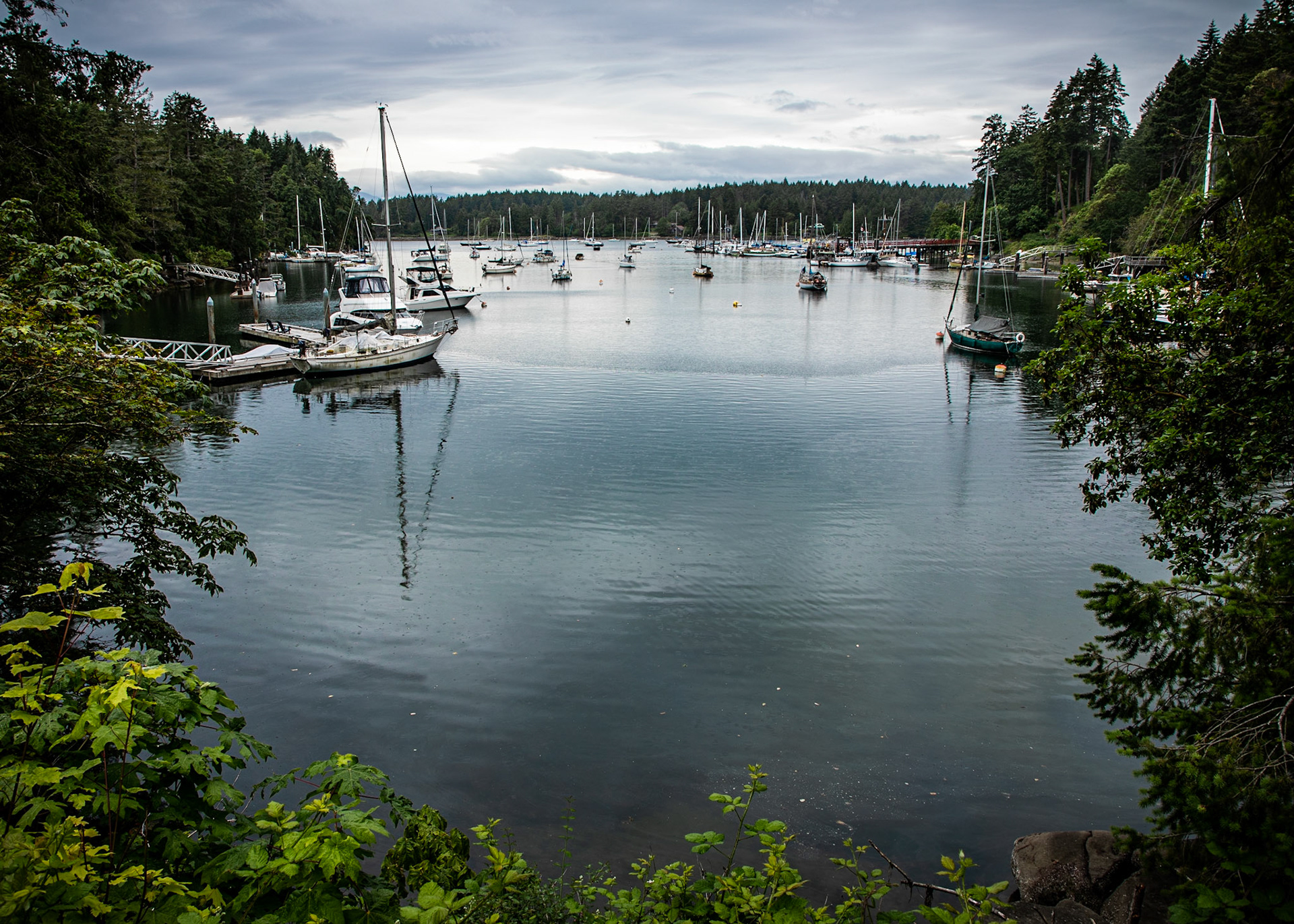 Photo was taken on Gabriola Island, British Columbia.