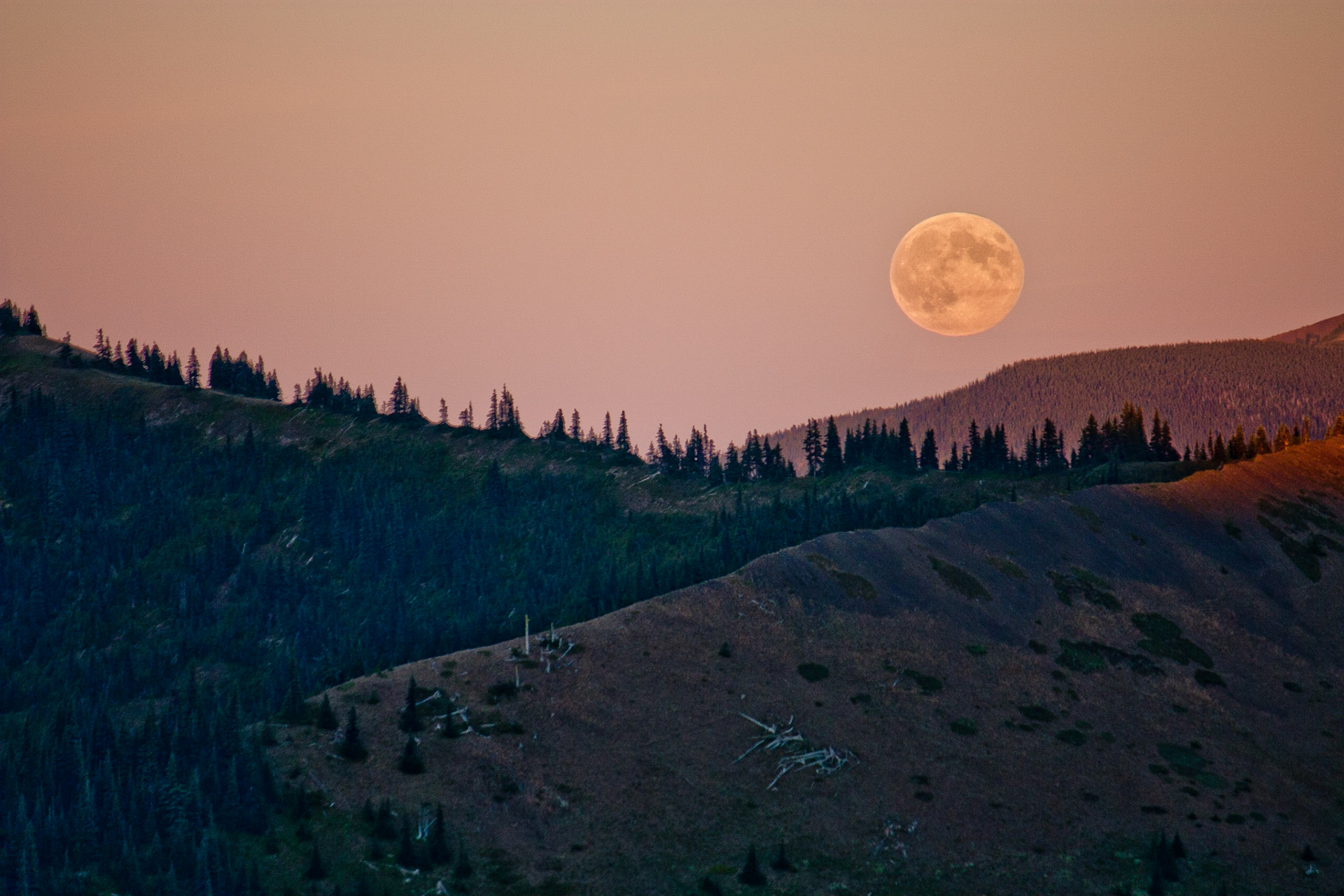 Photo was taken at Hurricane Ridge, Olympic Mountains, Washington State, USA during the supermoon.