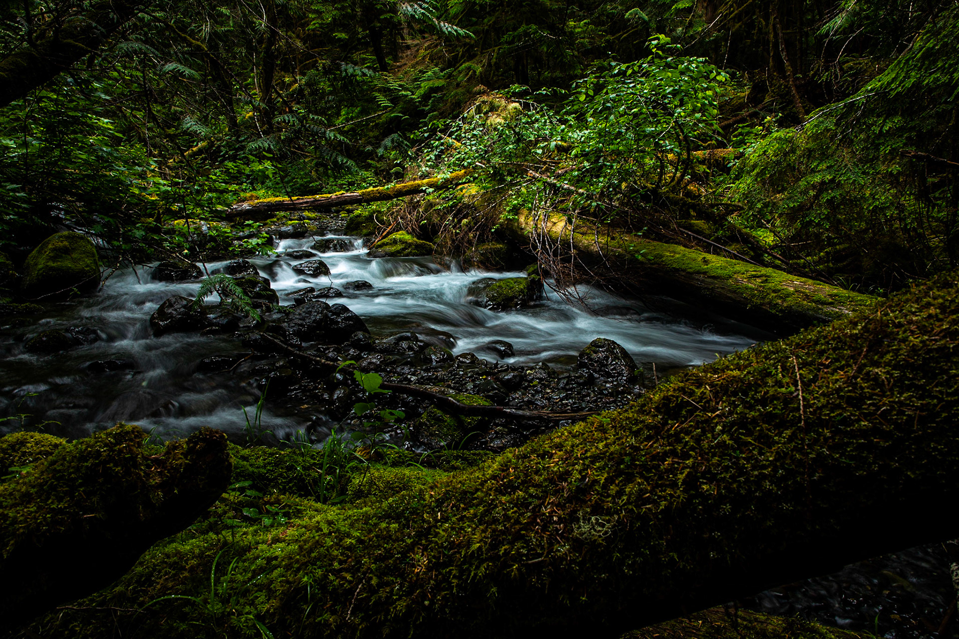 Big Quilcene river flows gently down a valley in the Olympic Mountains.