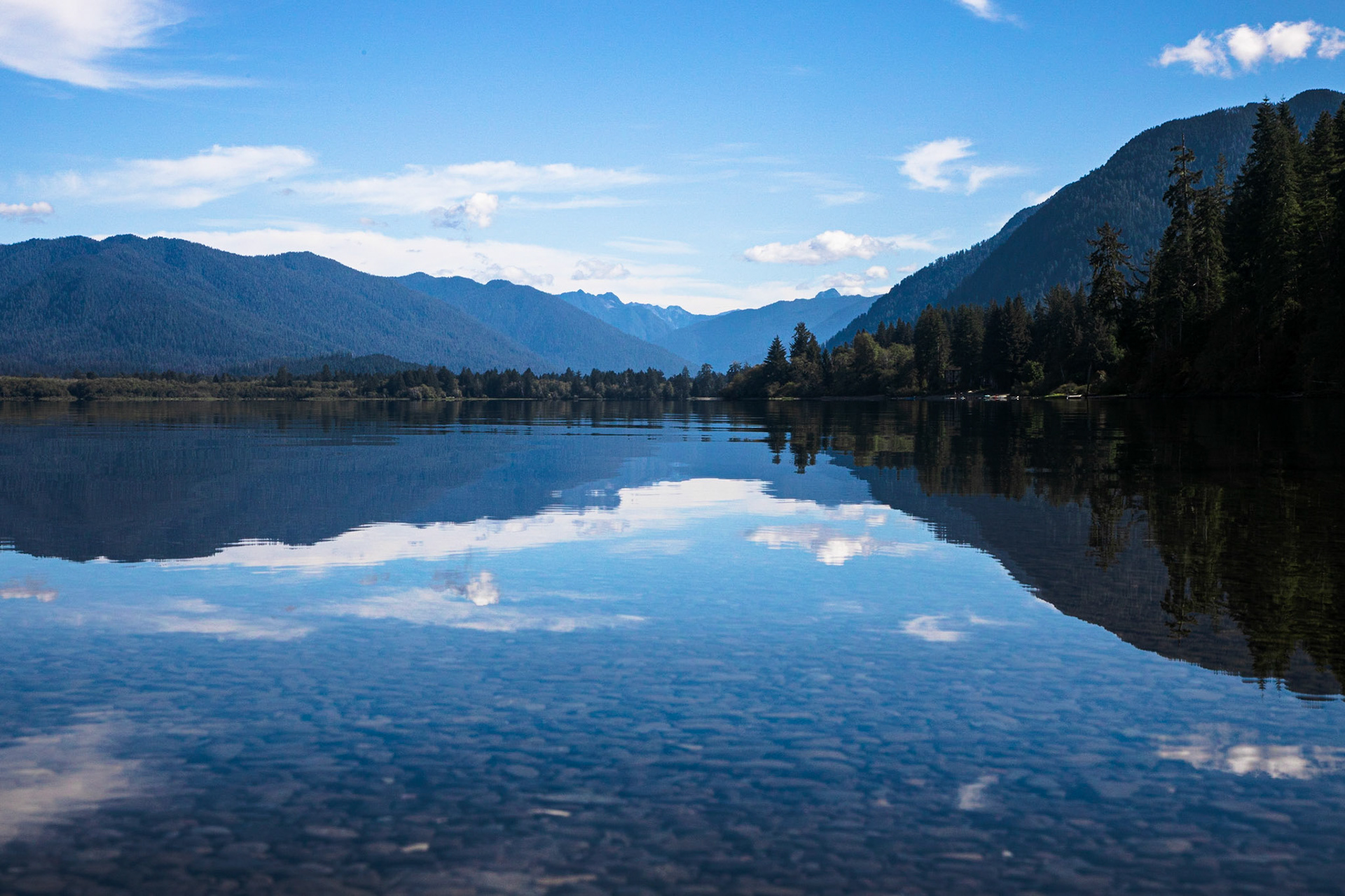 Afternoon at Lake Quinault in the Olympic National Park.