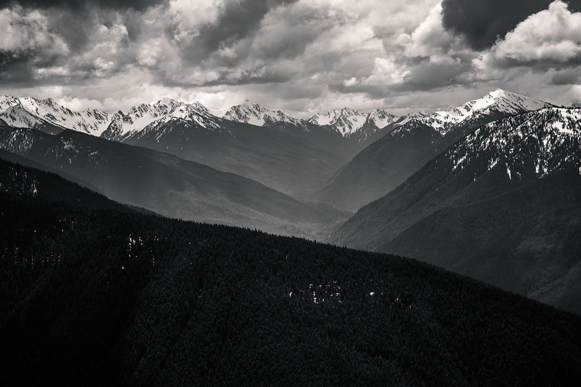 Photo was taken at Hurricane Ridge, Olympic Mountains, Washington State, USA.