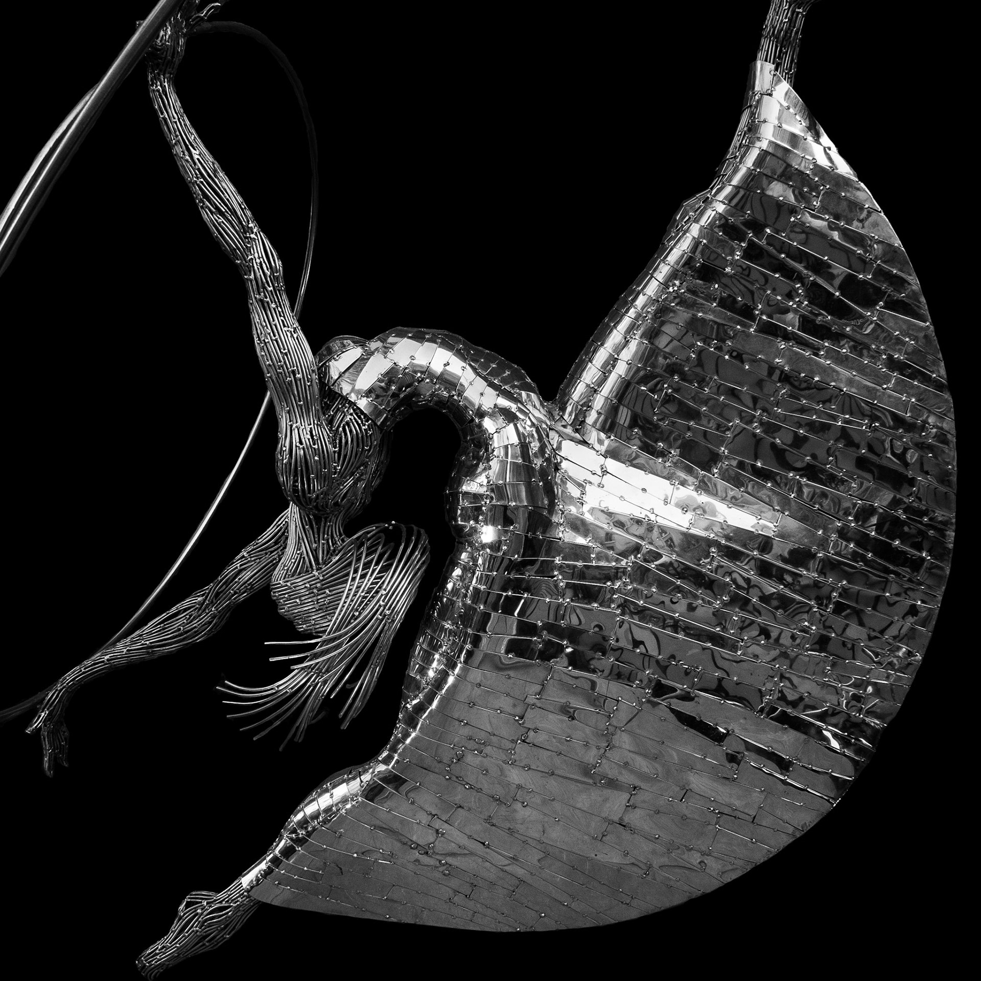 This sculpture is located outside The Cathedral of the Holy Cross and Saint Eulalia in Barcelona, Spain. It was created by the multi-faceted Spanish artist from the Canary Islands, Julio Nieto.