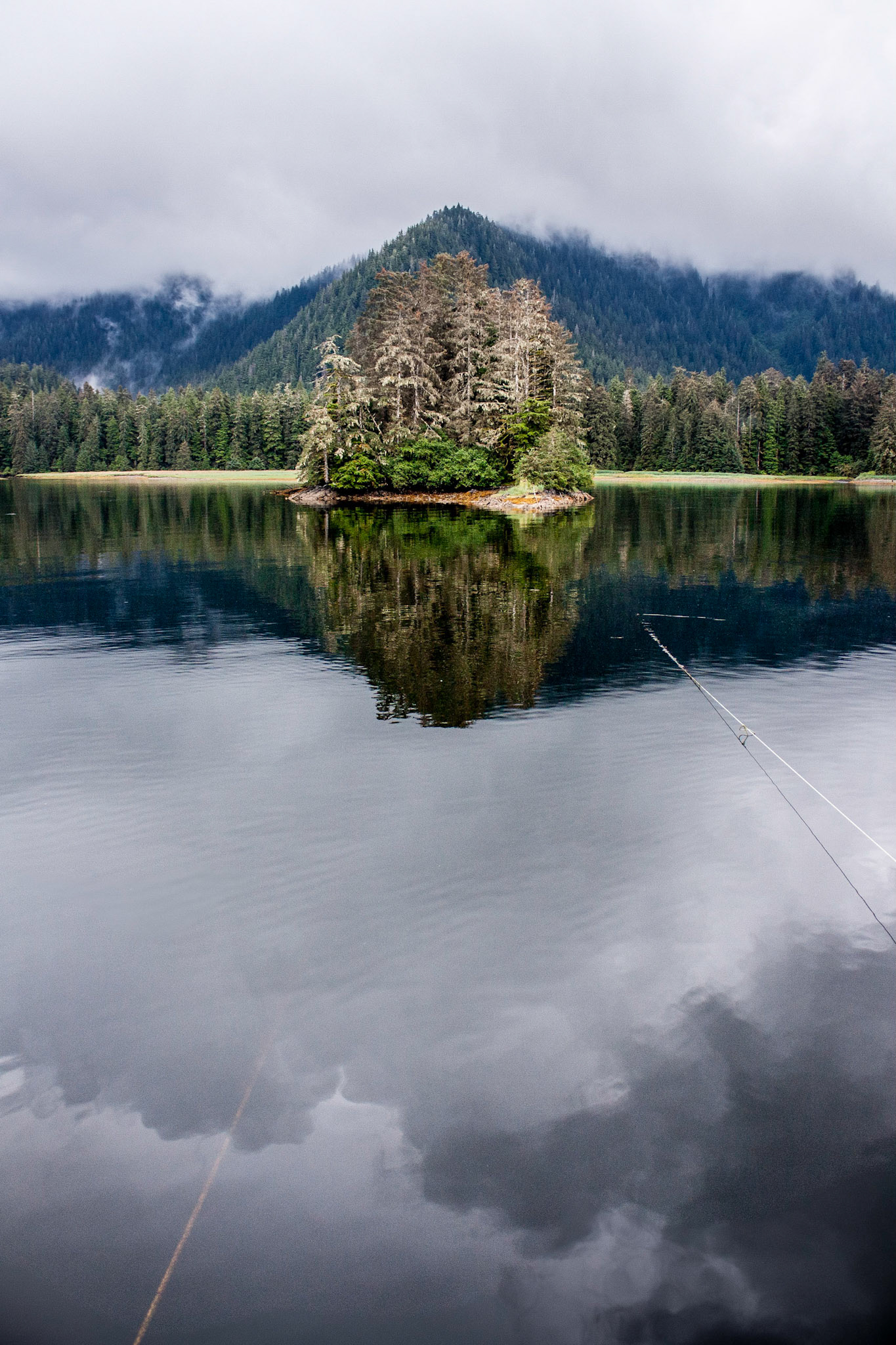 Photo was taken in Gedney Harbor, Kuiu Island,Southeast Alaska, USA.