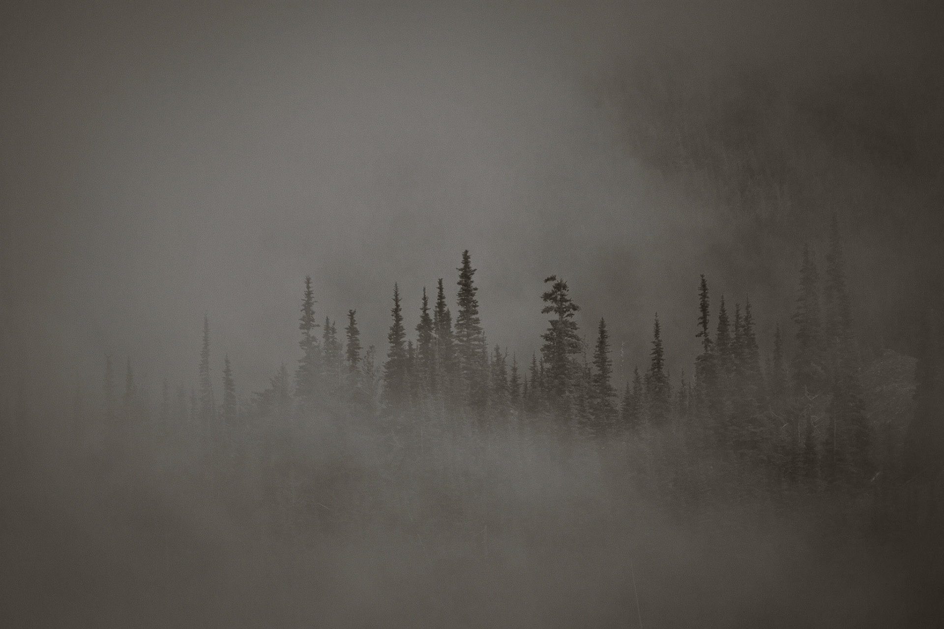 Photo taken at Deer Park, Olympic Mountains, Washington State, USA.