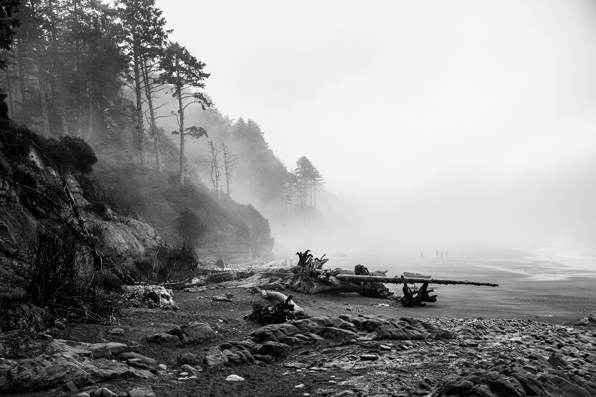 A foggy morning at Beach 4 in the Olympipc National Park of Washington,