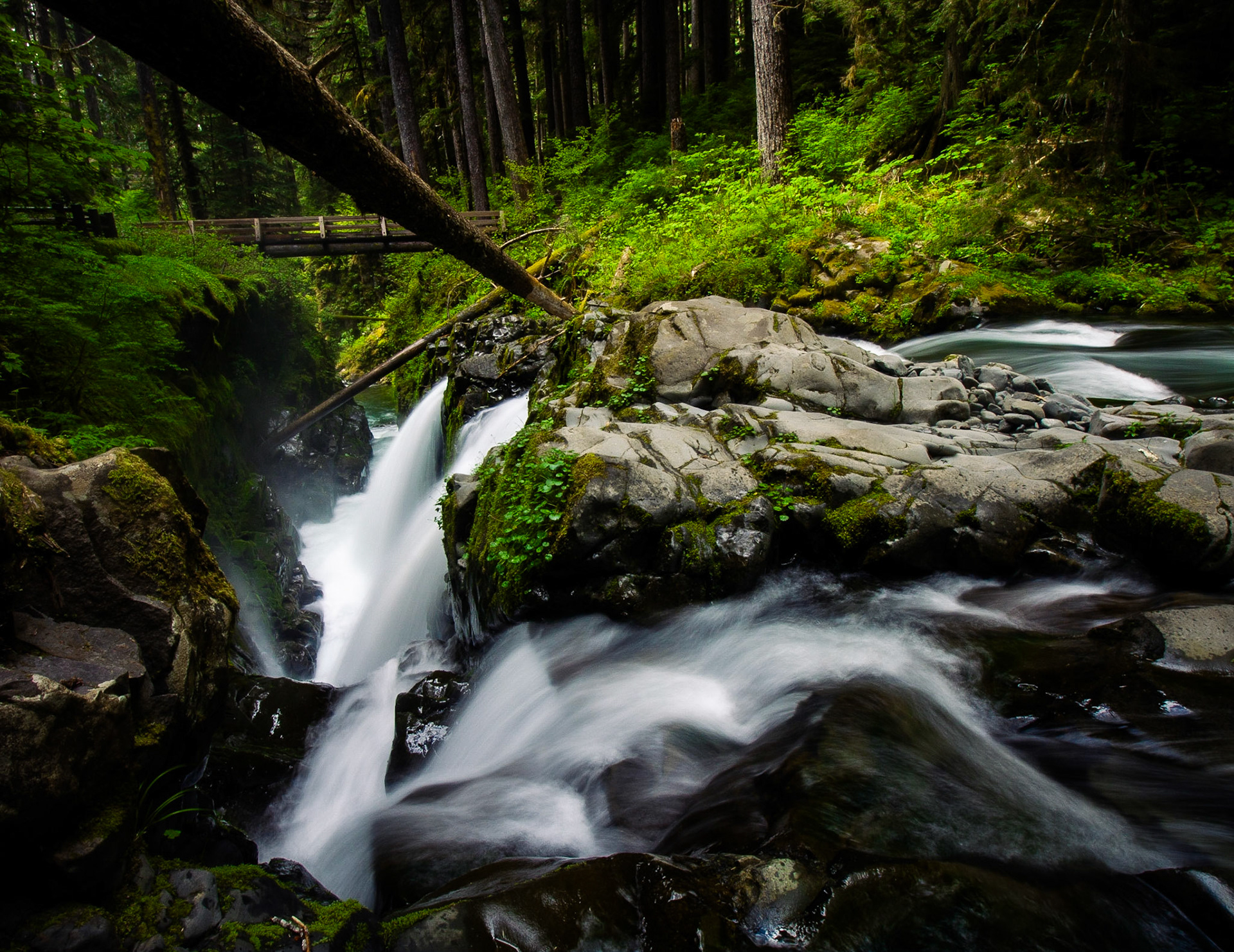The Sol Duc River flows into the canyon below.