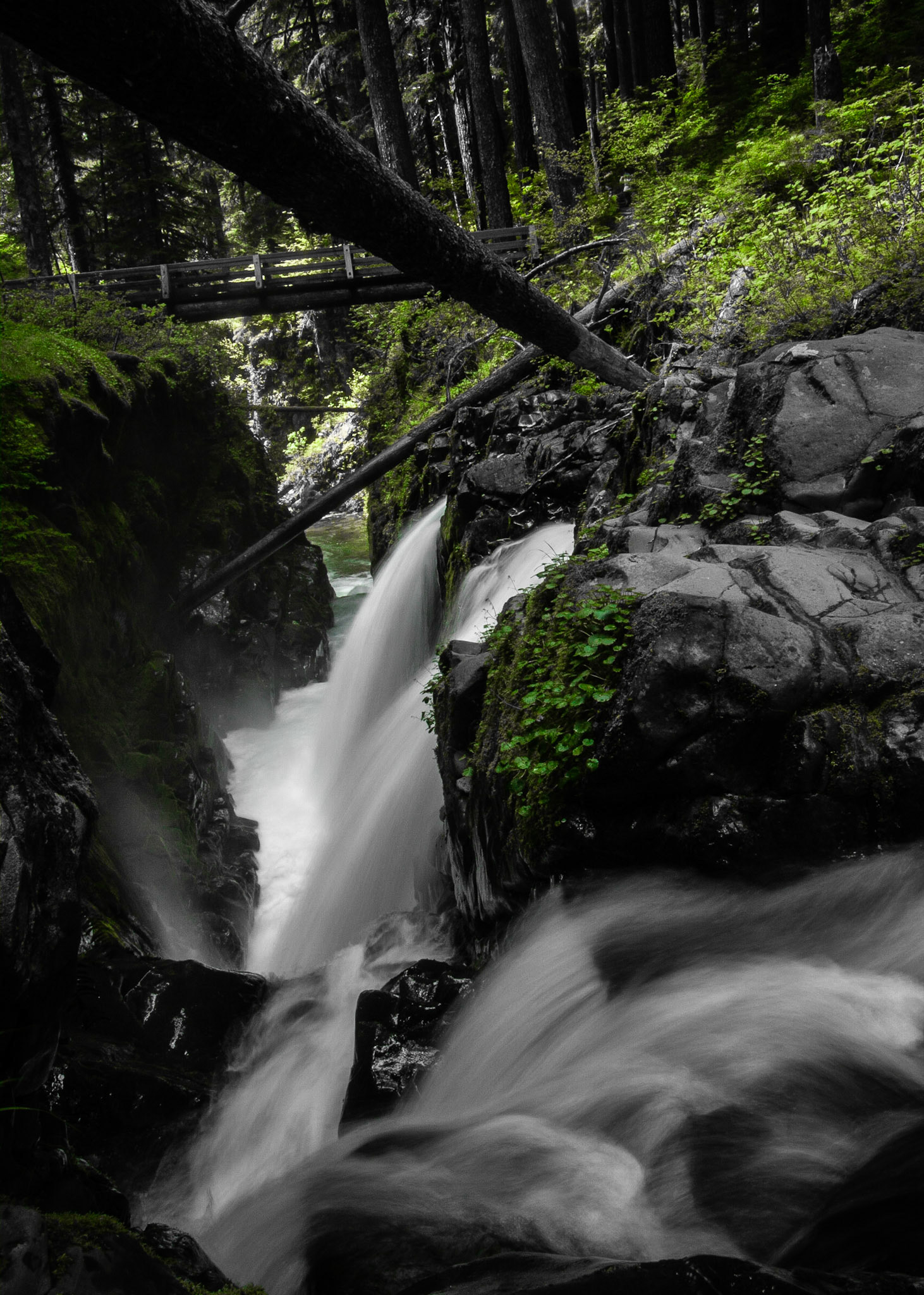 The Sol Duc River flows into the canyon below.