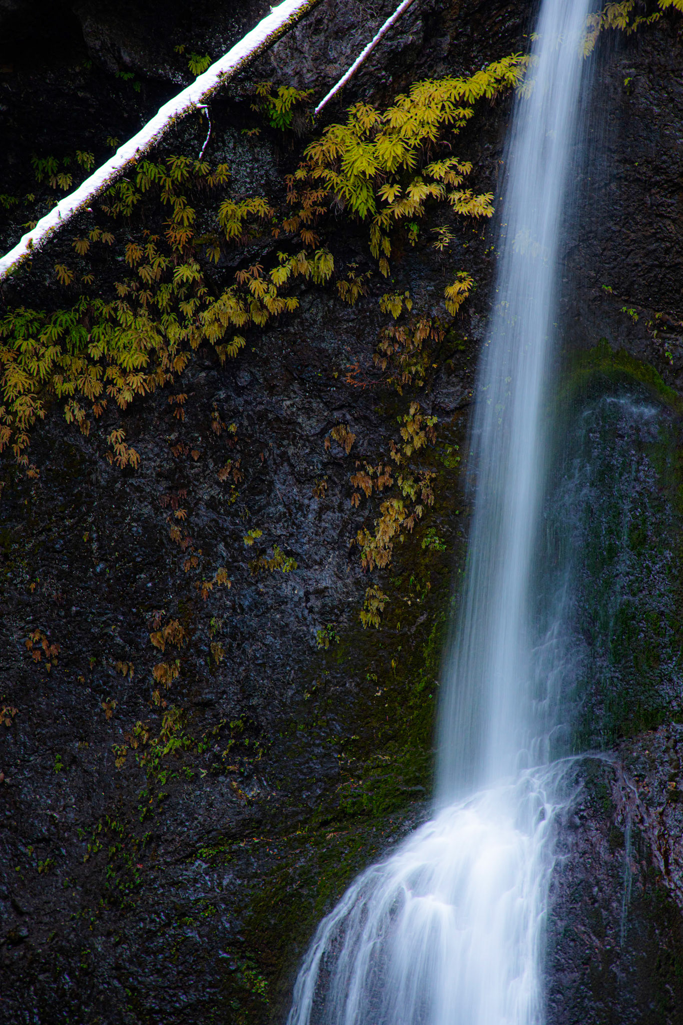 Marymere Falls is a small but popular waterfall in Olympc National Park.