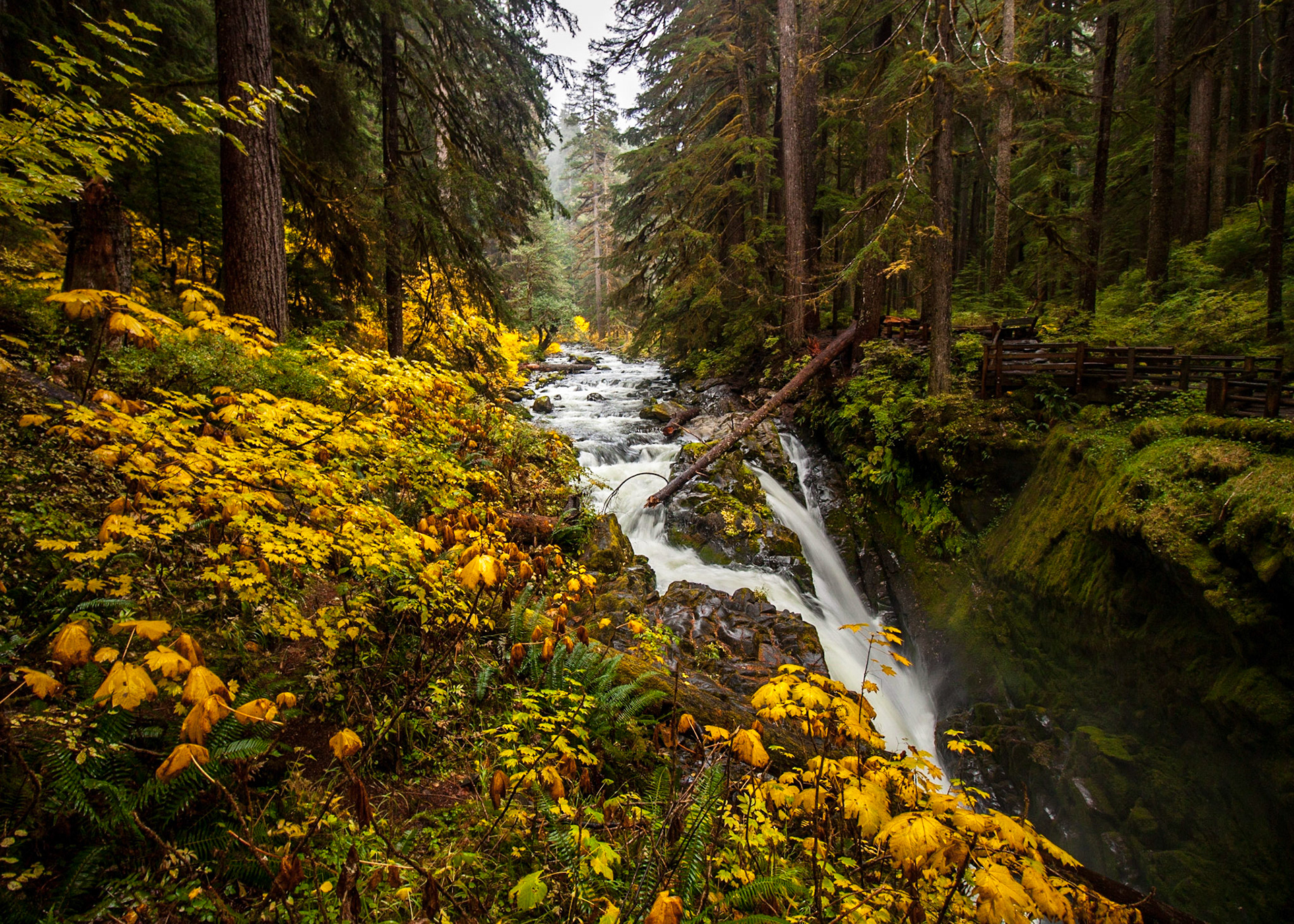 Water pours over the Sol Duc Falls in the autumn