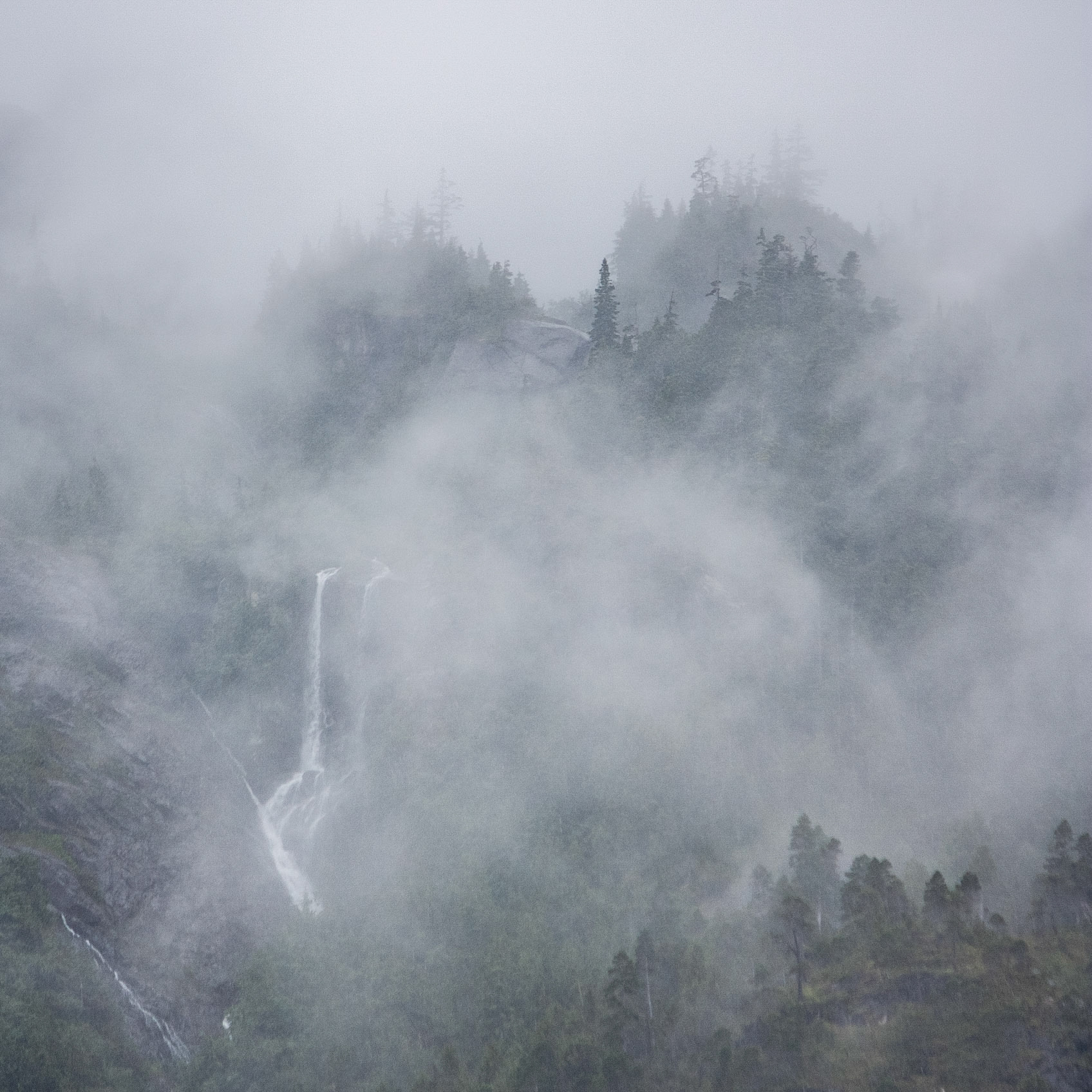 Photo was taken near Pelican, Southeast Alaska, USA.