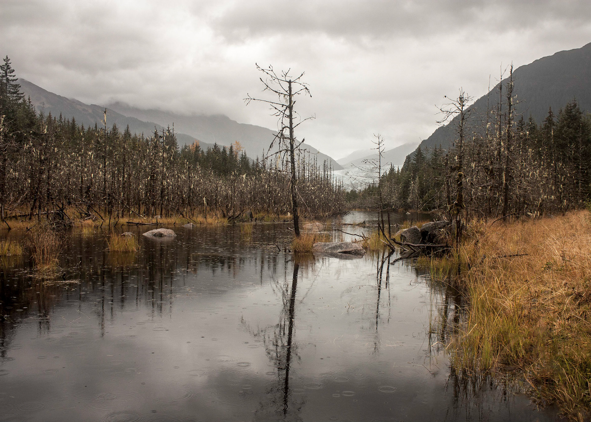 Photo was taken in Juneau, Southeast Alaska, USA.