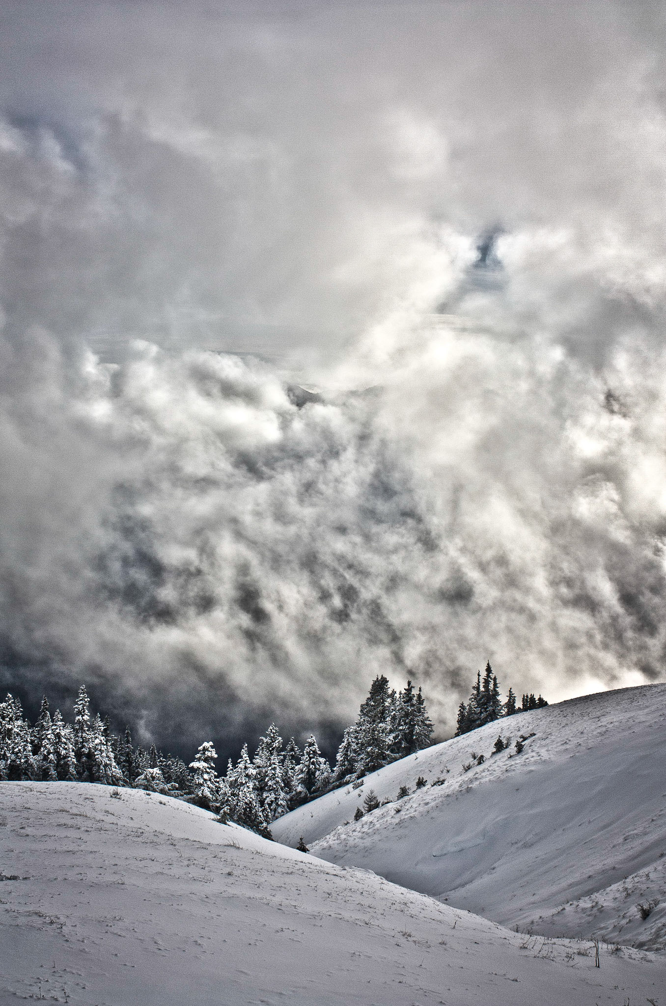 Photo was taken at Hurricane Hill, Olympic Mountains, Washington State, USA.