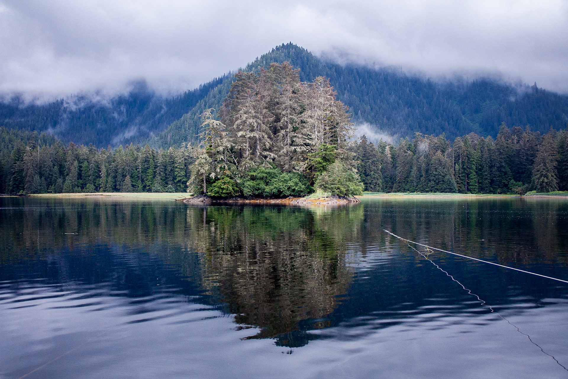 Photo was taken in Gedney Harbor, Kuiu Island,Southeast Alaska, USA.