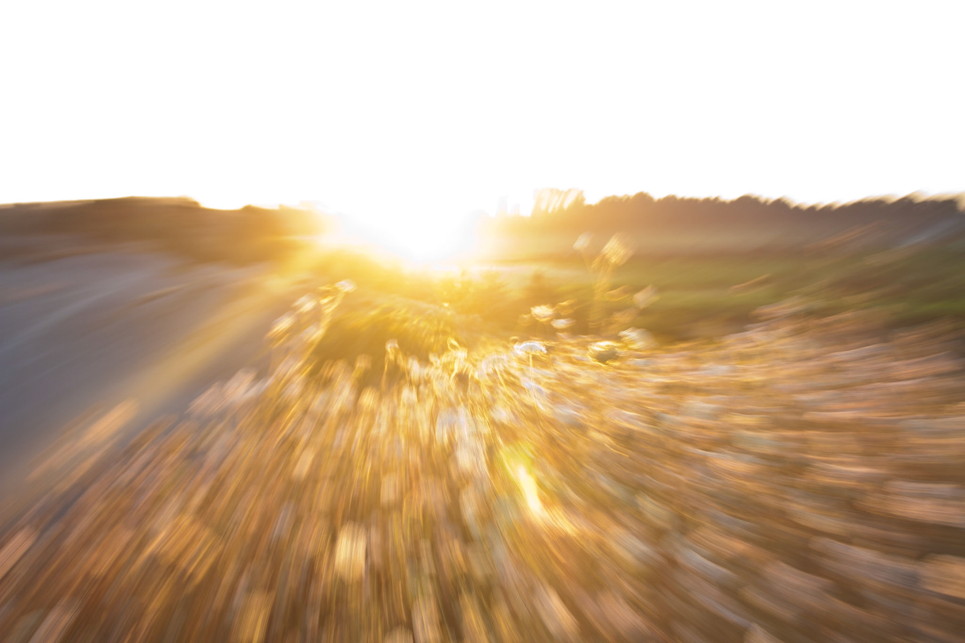 Rushing to the Light