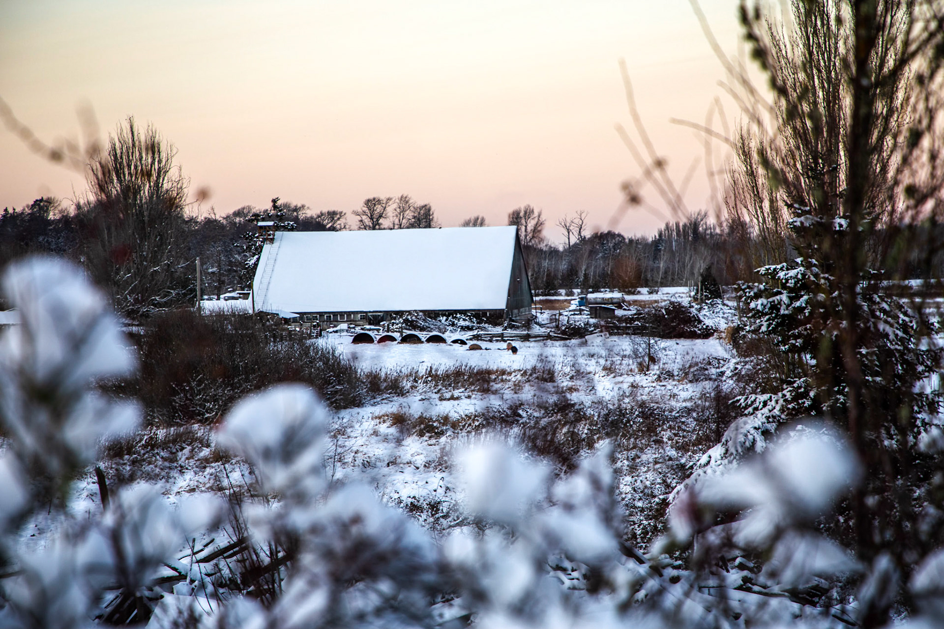Snow covers a farm in the Pacific Northwest.