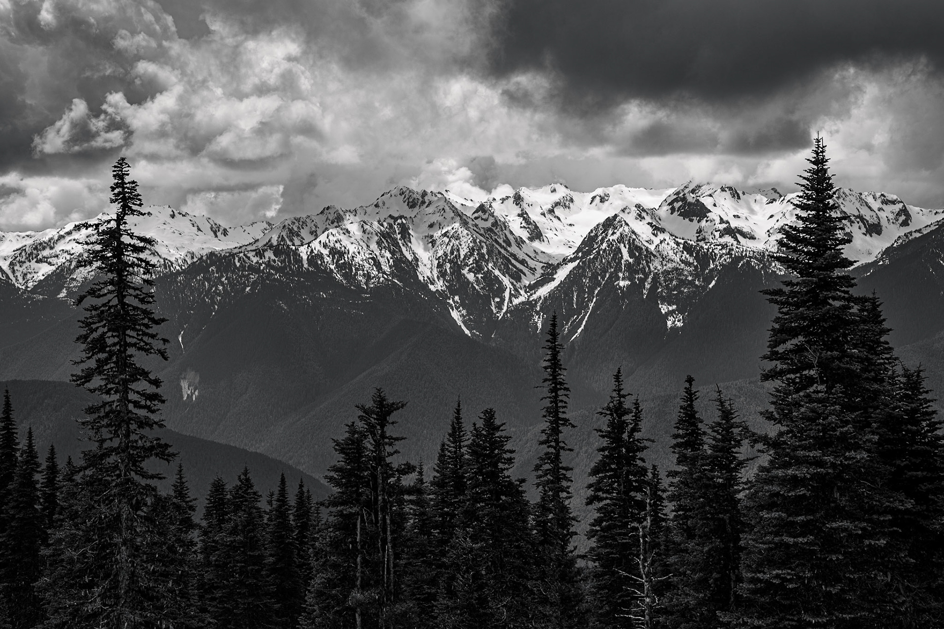 Photo was taken at Hurricane Ridge, Olympic Mountains, Washington State, USA.