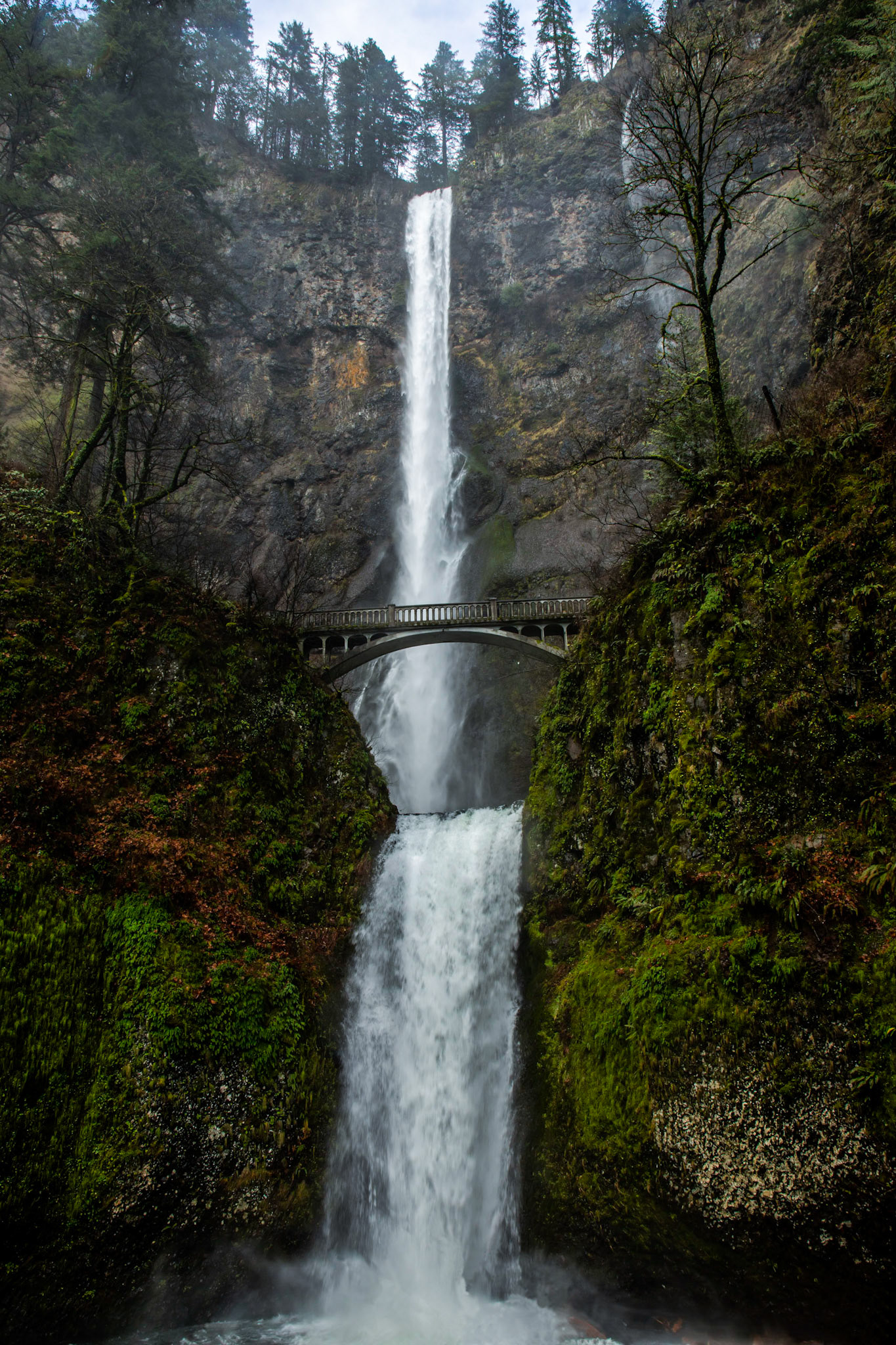 Multnomah Creek makes its beautiful descent in the Columbia River Gorge.