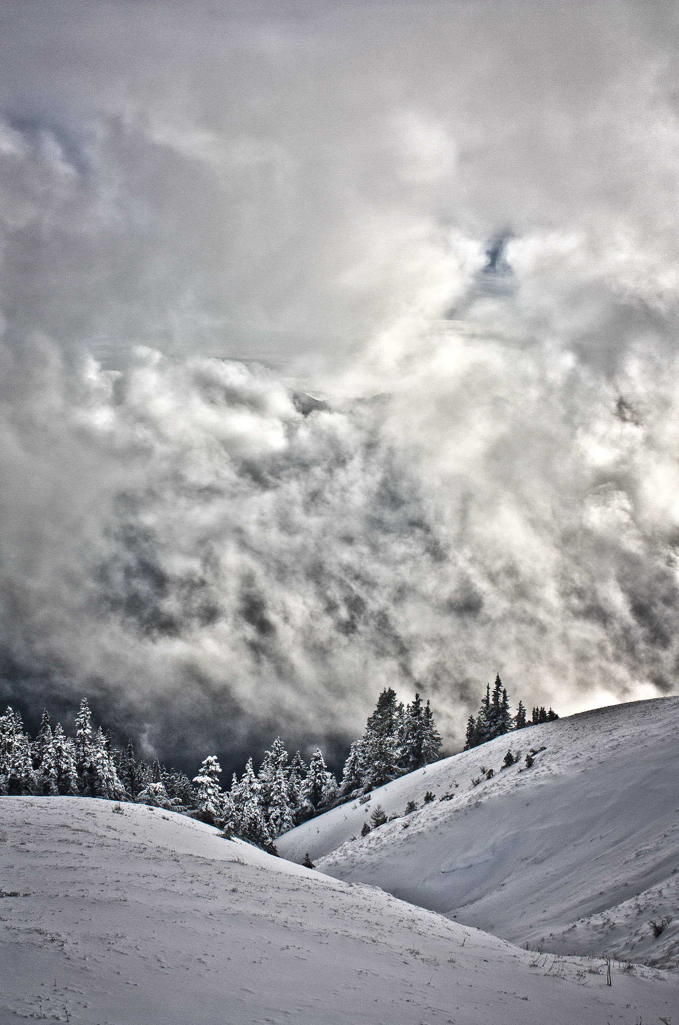 Photo was taken at Hurricane Hill, Olympic Mountains, Washington State, USA.