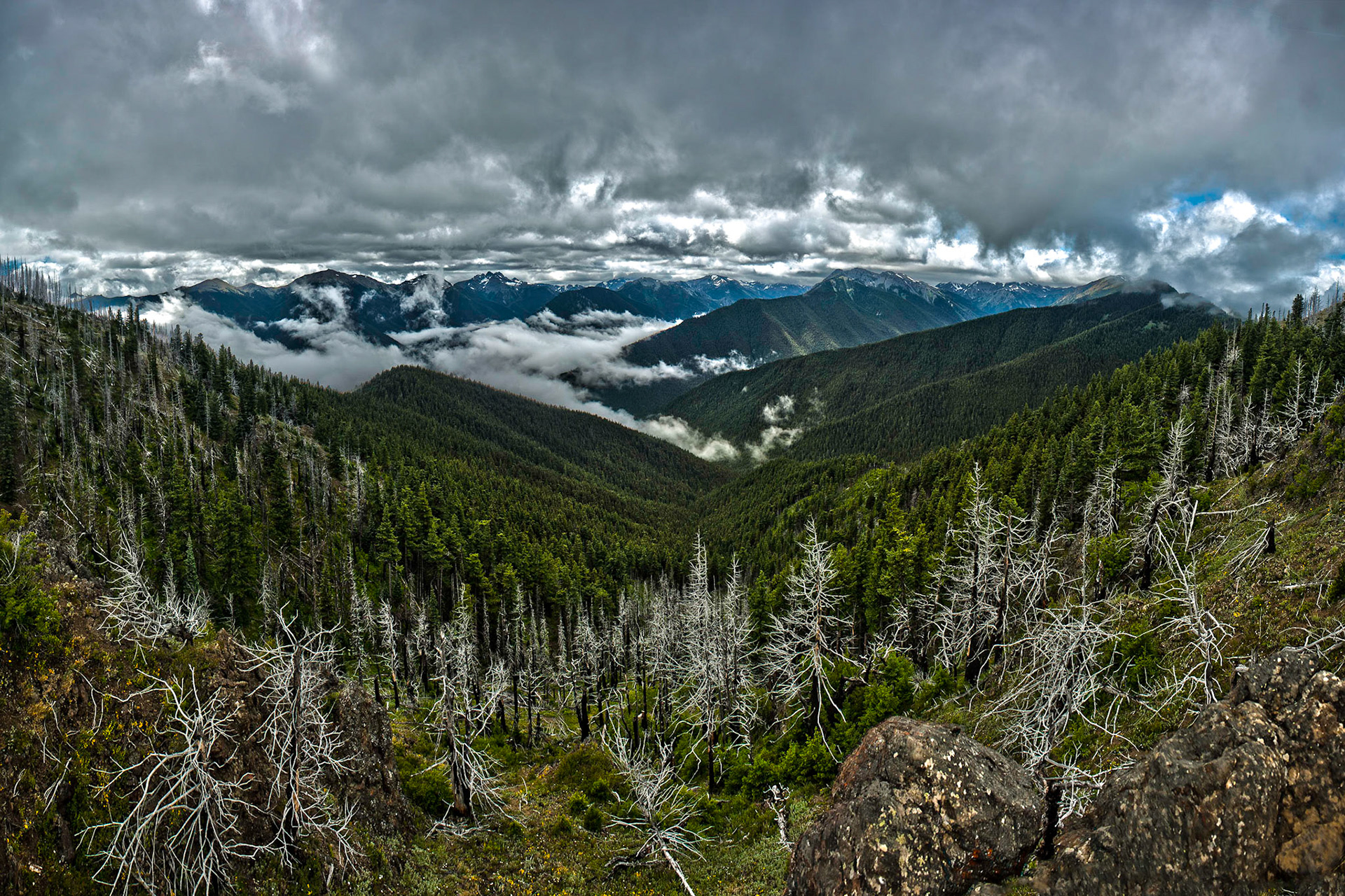 Photo was taken in the Olympic Mountains of Washington, USA.