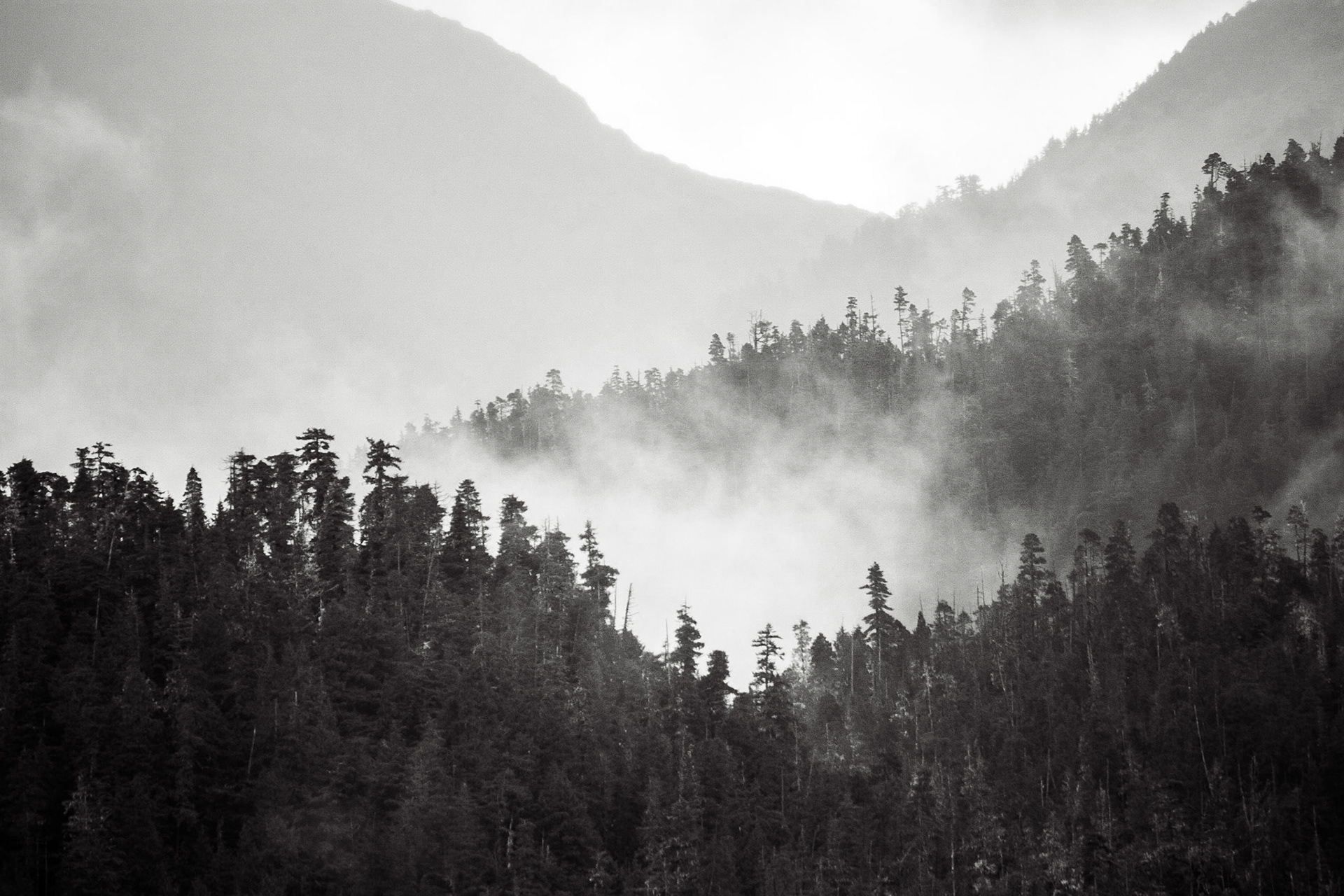 Photo was taken near Craig, Southeast Alaska, USA.