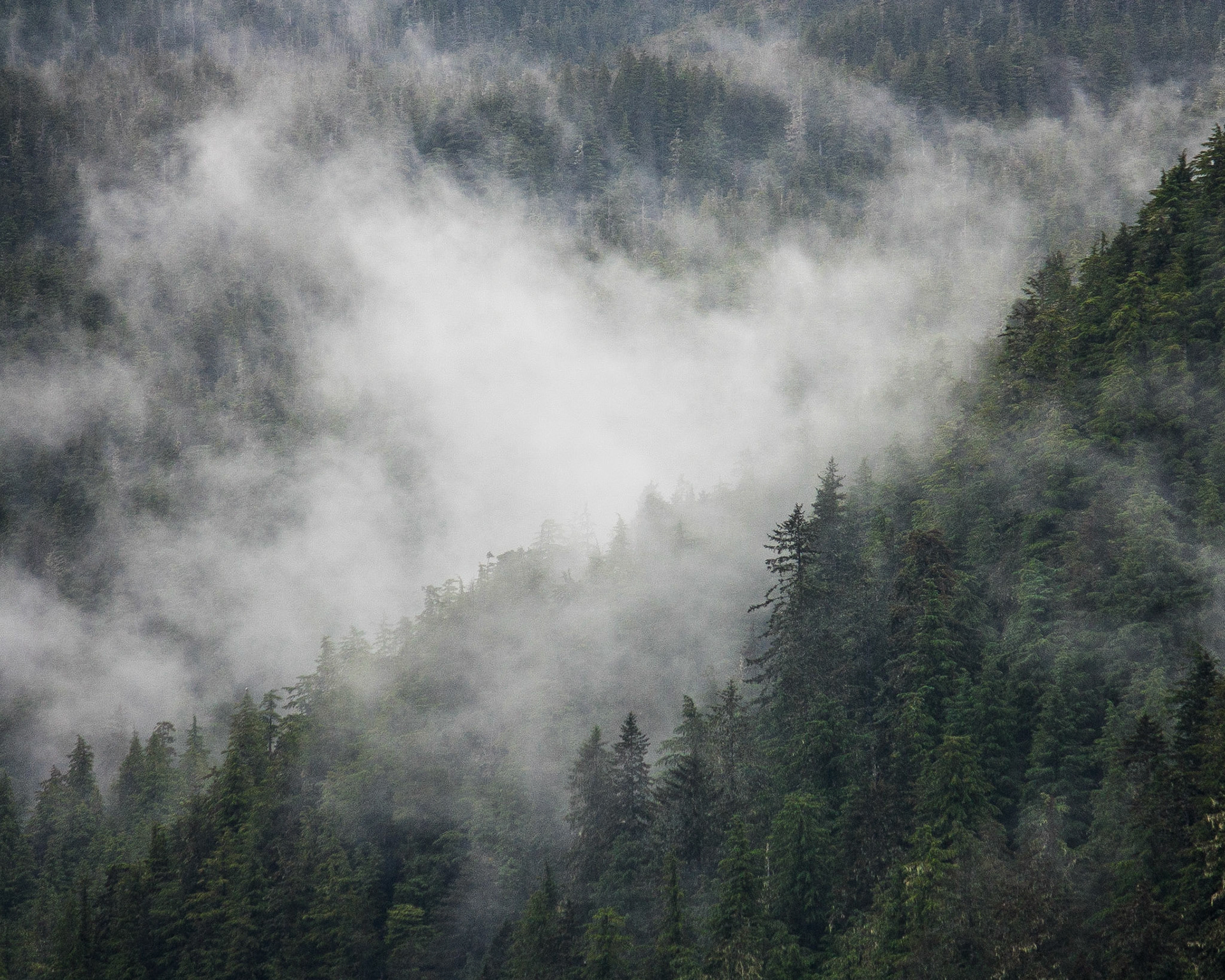 Photo was taken on Chatham Strait in Southeast Alaska, USA.