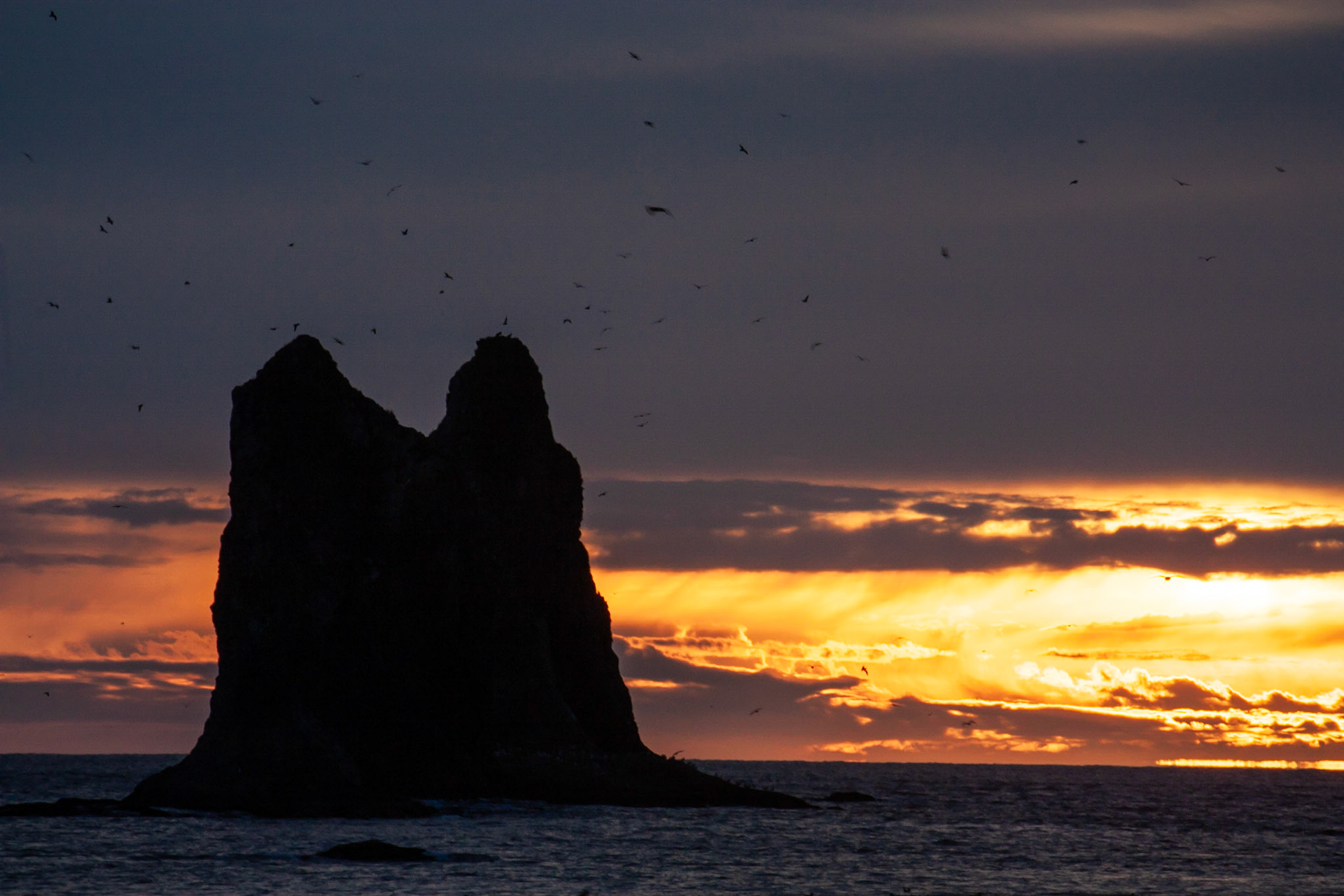 Seastacks off the coast of the Olympic Peninsula in Washington State.