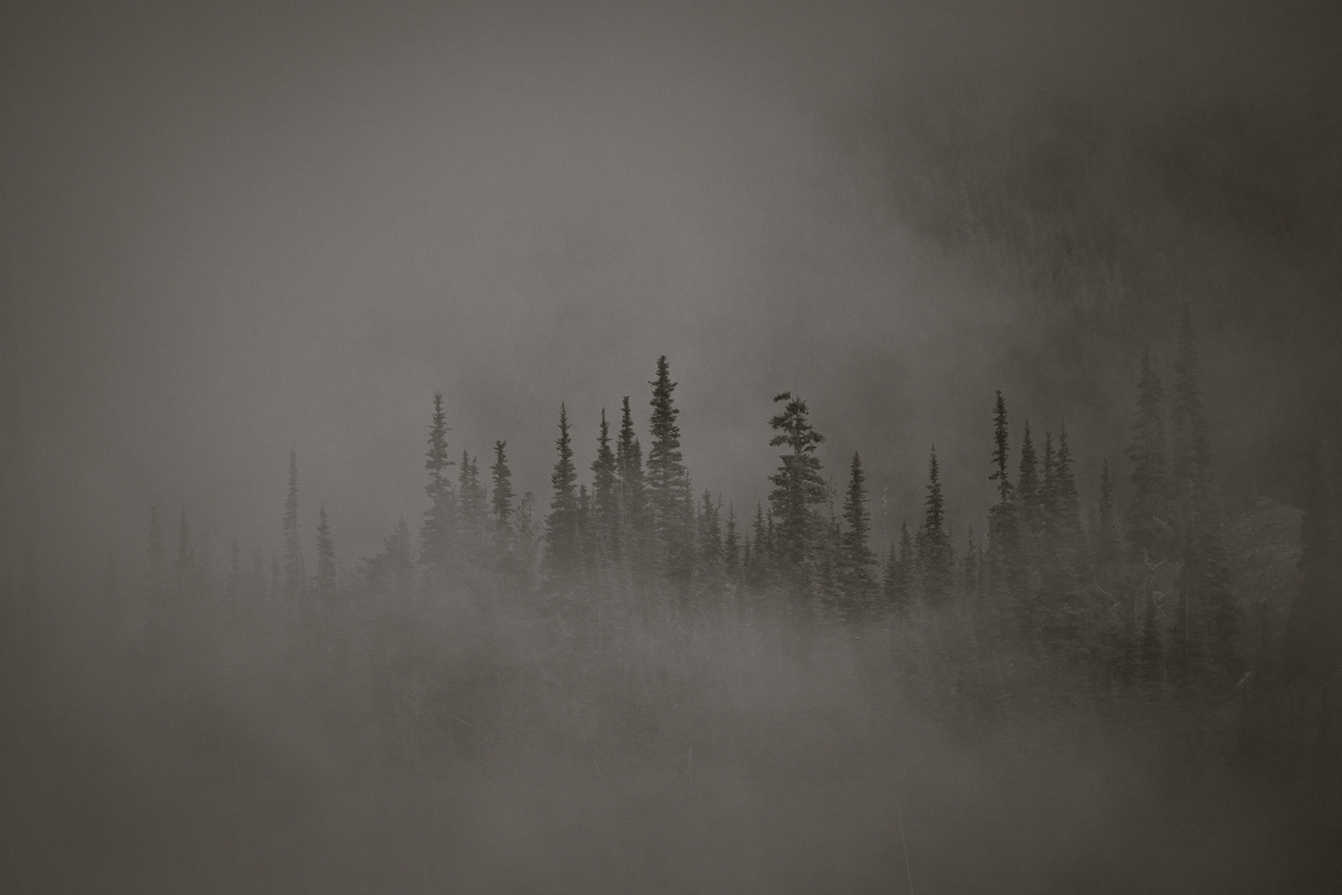 Photo taken at Deer Park, Olympic Mountains, Washington State, USA.