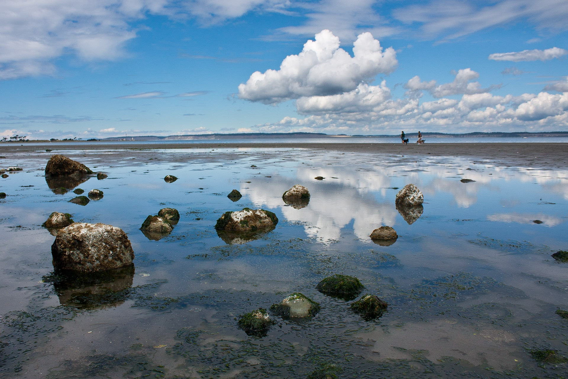Photo taken at Port Townsend, Washington State, USA.
