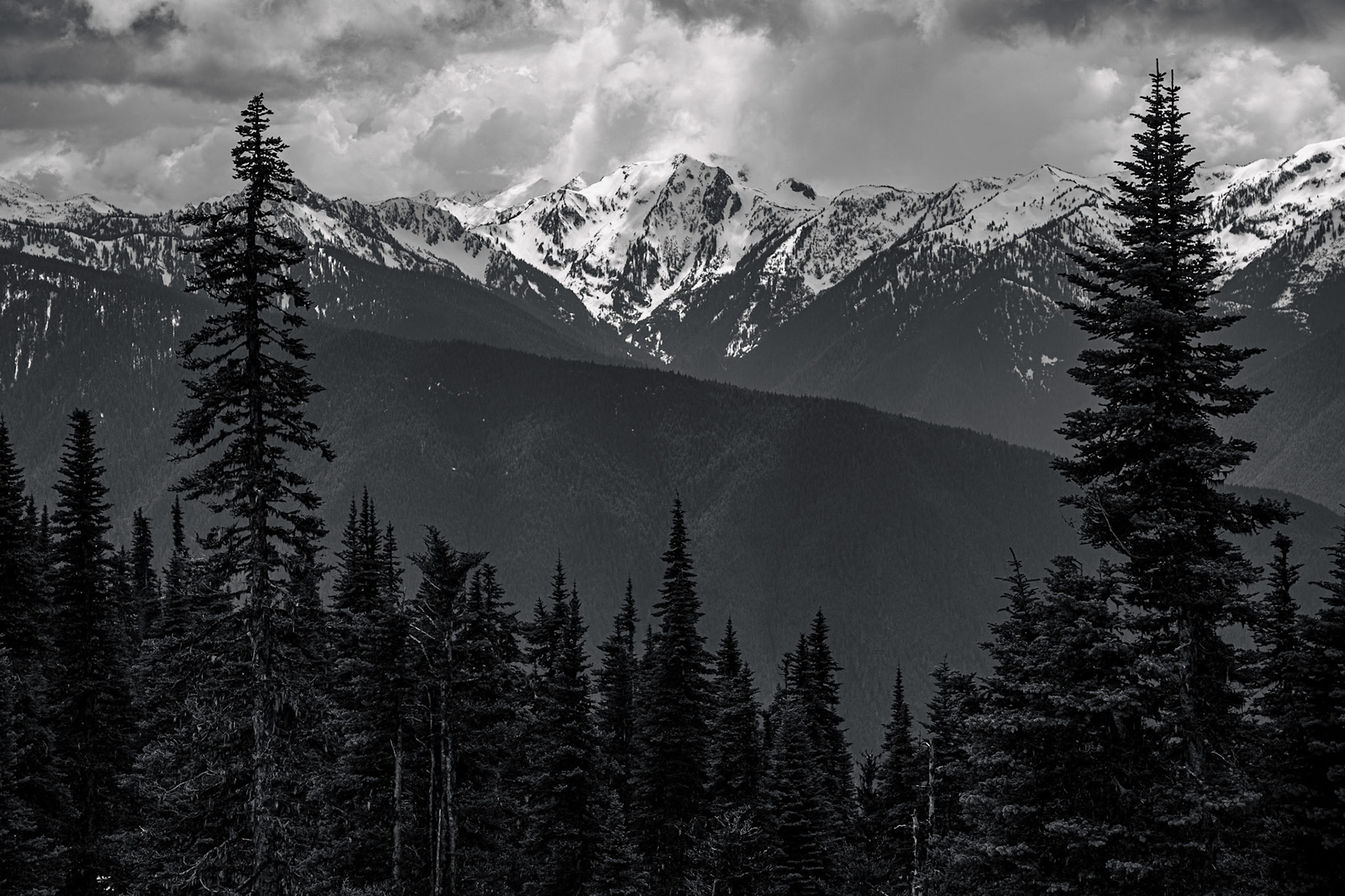 Photo was taken at Hurricane Ridge, Olympic Mountains, Washington State, USA.