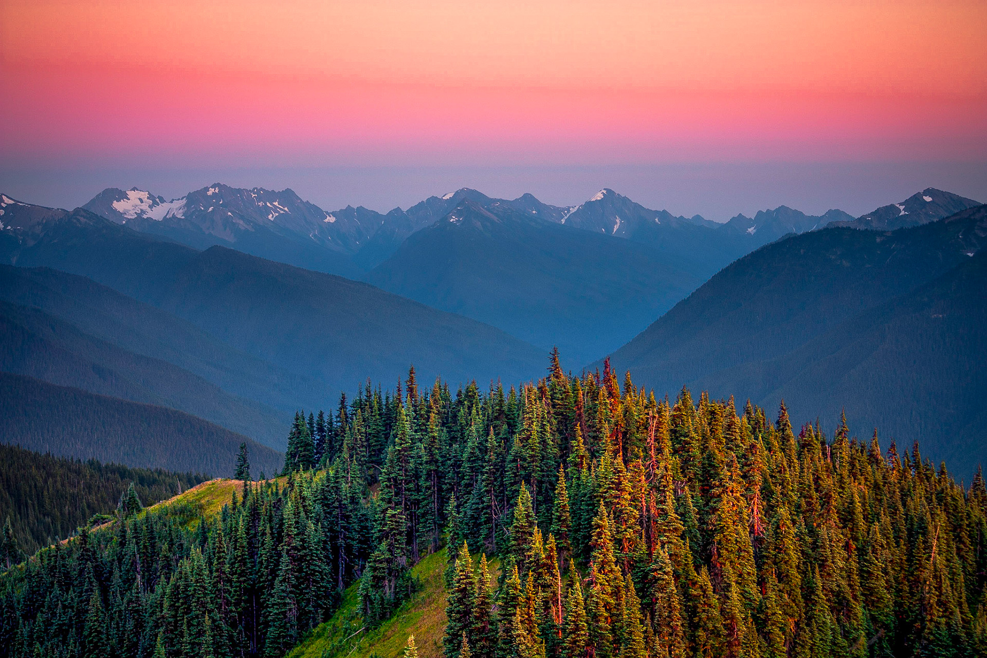 Photo was taken at Hurricane Ridge, Olympic Mountains, Washington State, USA.