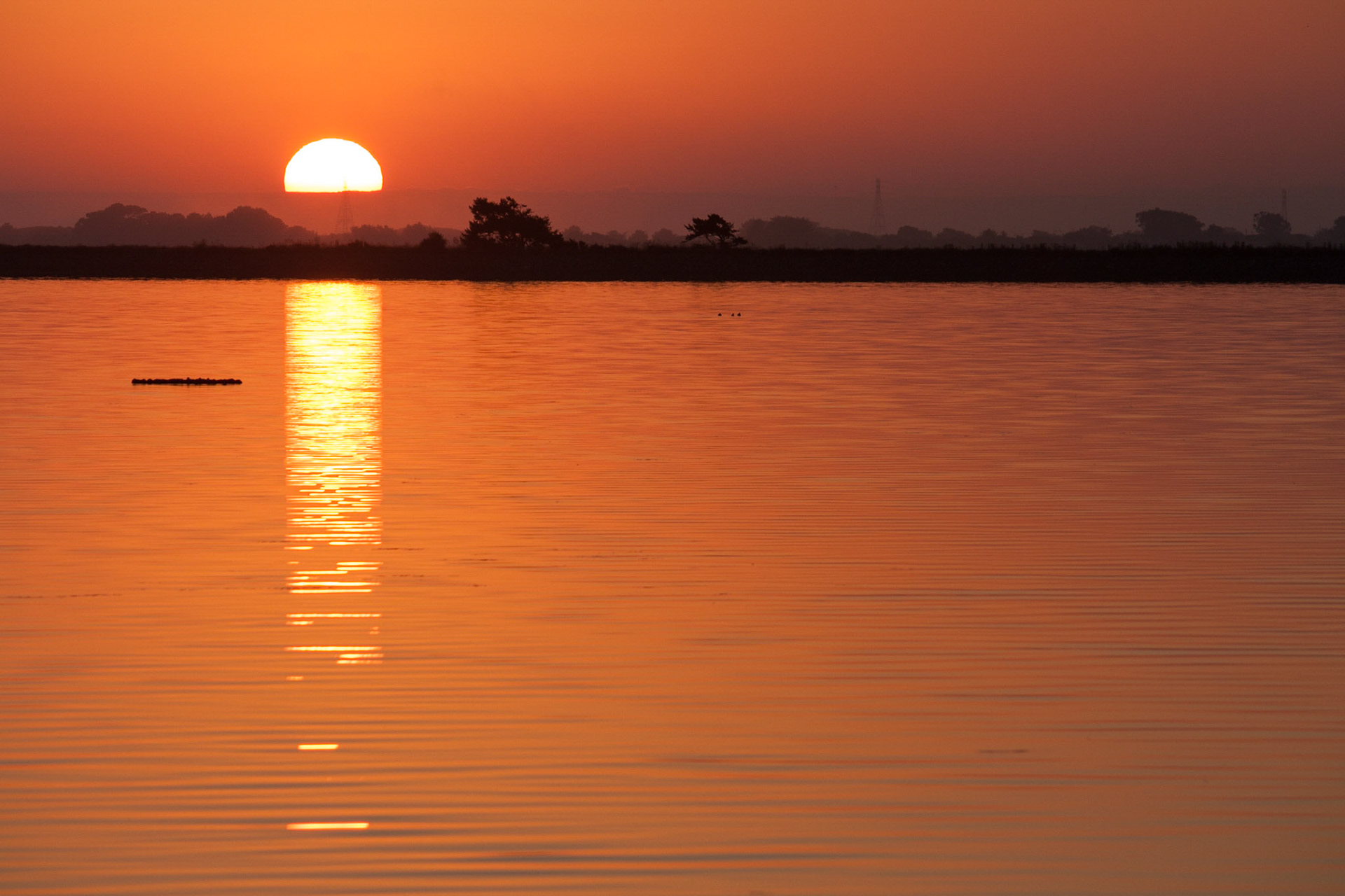 The sun sets over Arcata Marsh.