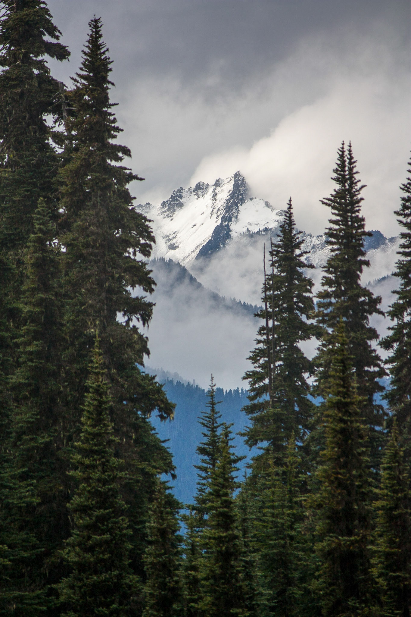 Photo was taken at Hurricane Ridge, Olympic Mountains, Washington State, USA.