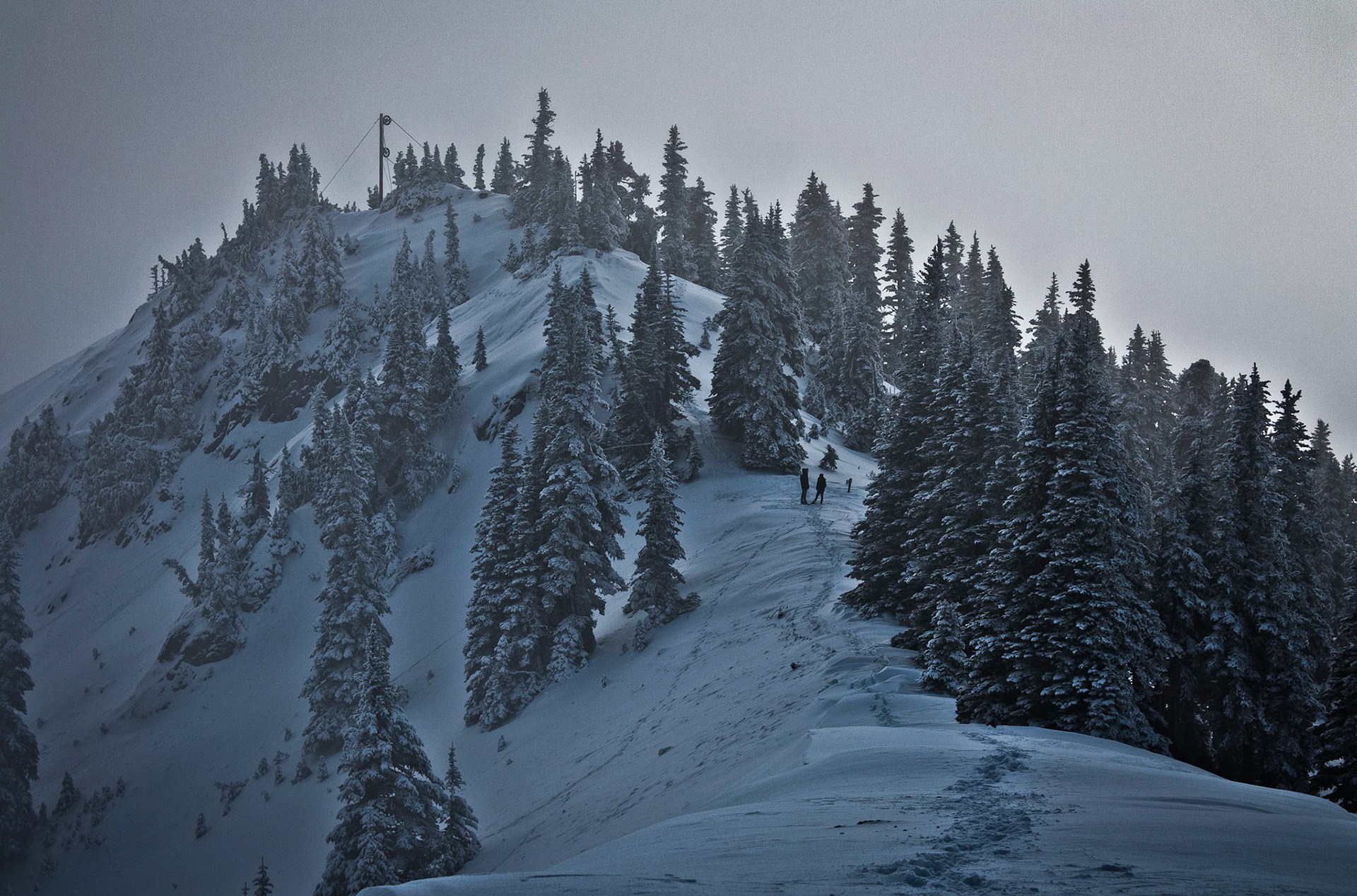 Photo was taken at Hurricane Hill, Olympic Mountains, Washington State, USA.