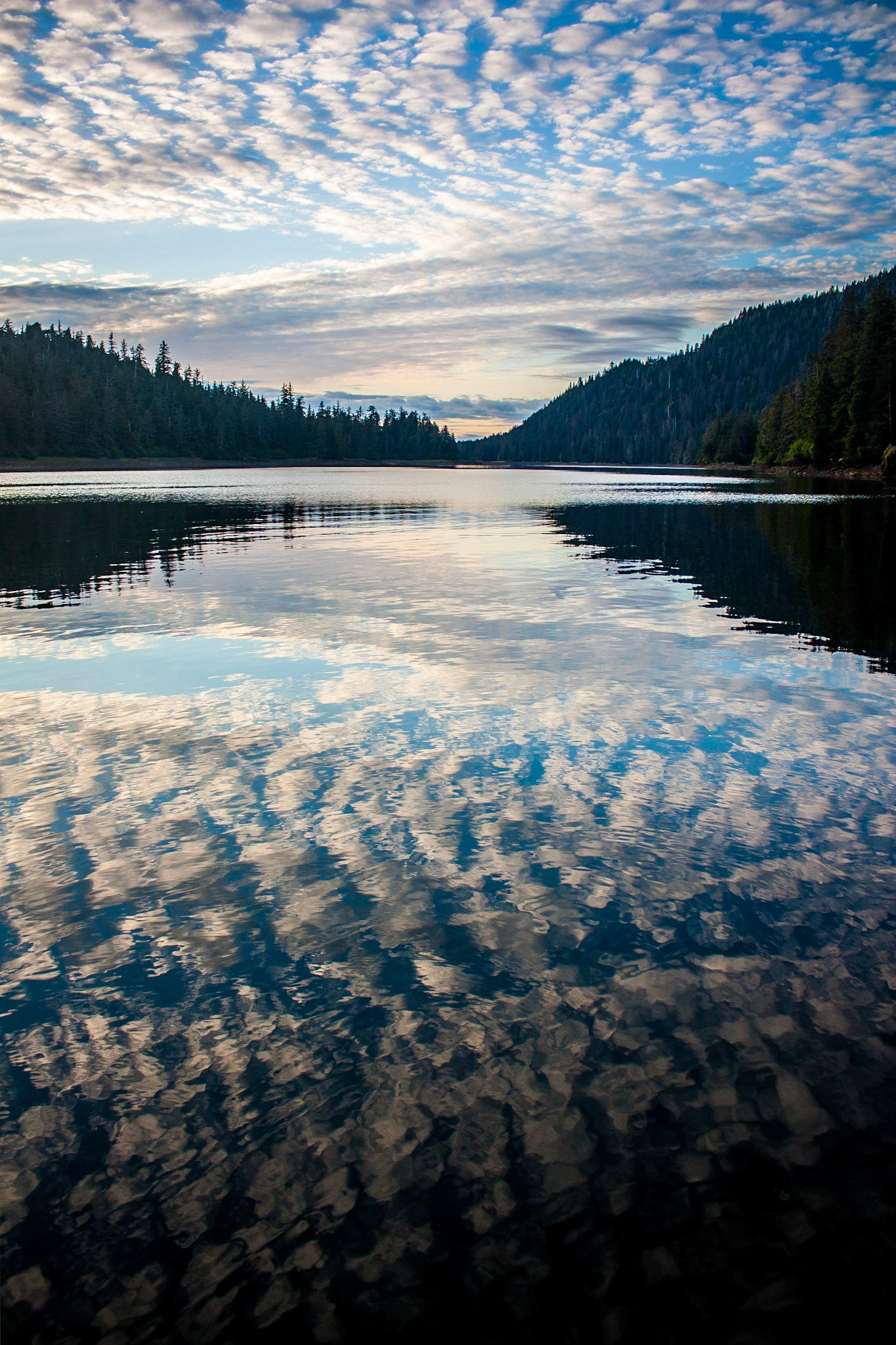 Photo was taken in Gedney Harbor, Kuiu Island,Southeast Alaska, USA.