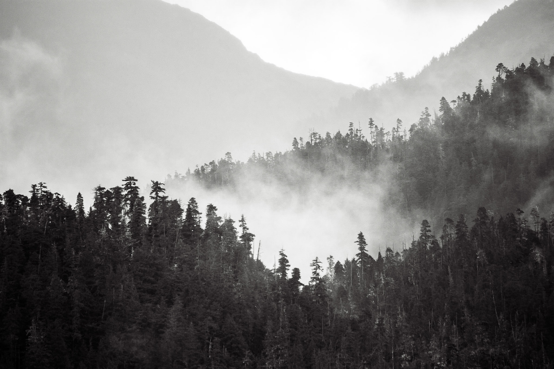 Photo was taken near Craig, Southeast Alaska, USA.