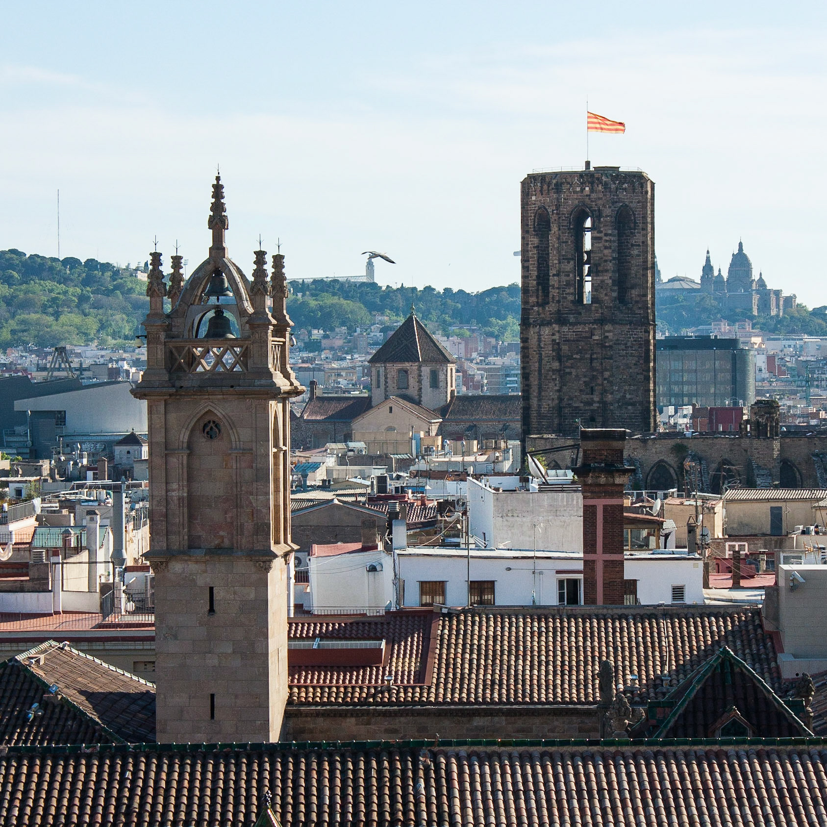 The Gothic Quarter of Barcelona, Spain seen from the rooftop of the Cathedral of the Holy Cross and Saint Eulalia. Montjuïc and the National Art Museum of Catalonia can be seen in the background.