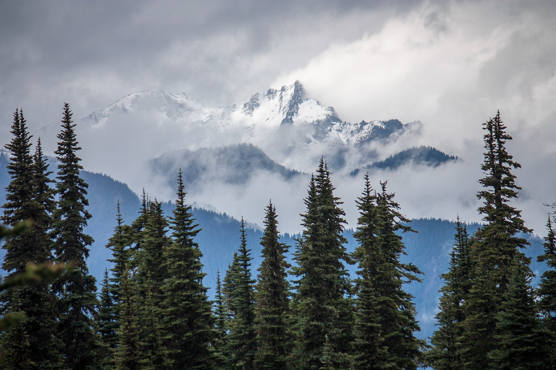 Photo was taken at Hurricane Ridge, Olympic Mountains, Washington State, USA.